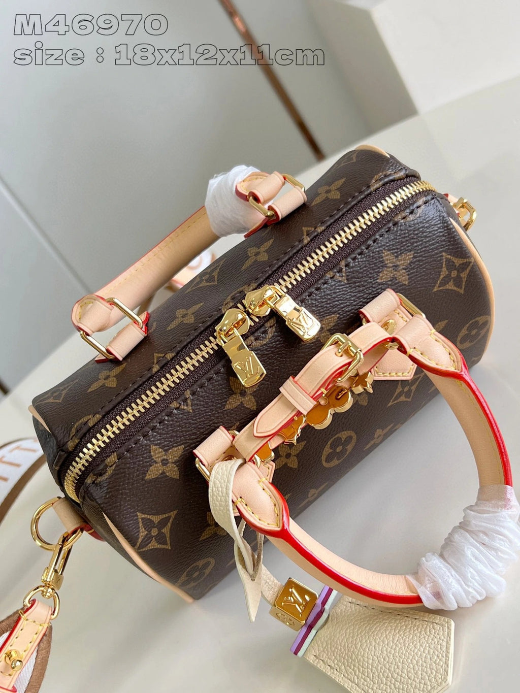LOUIS VUITTON BAG