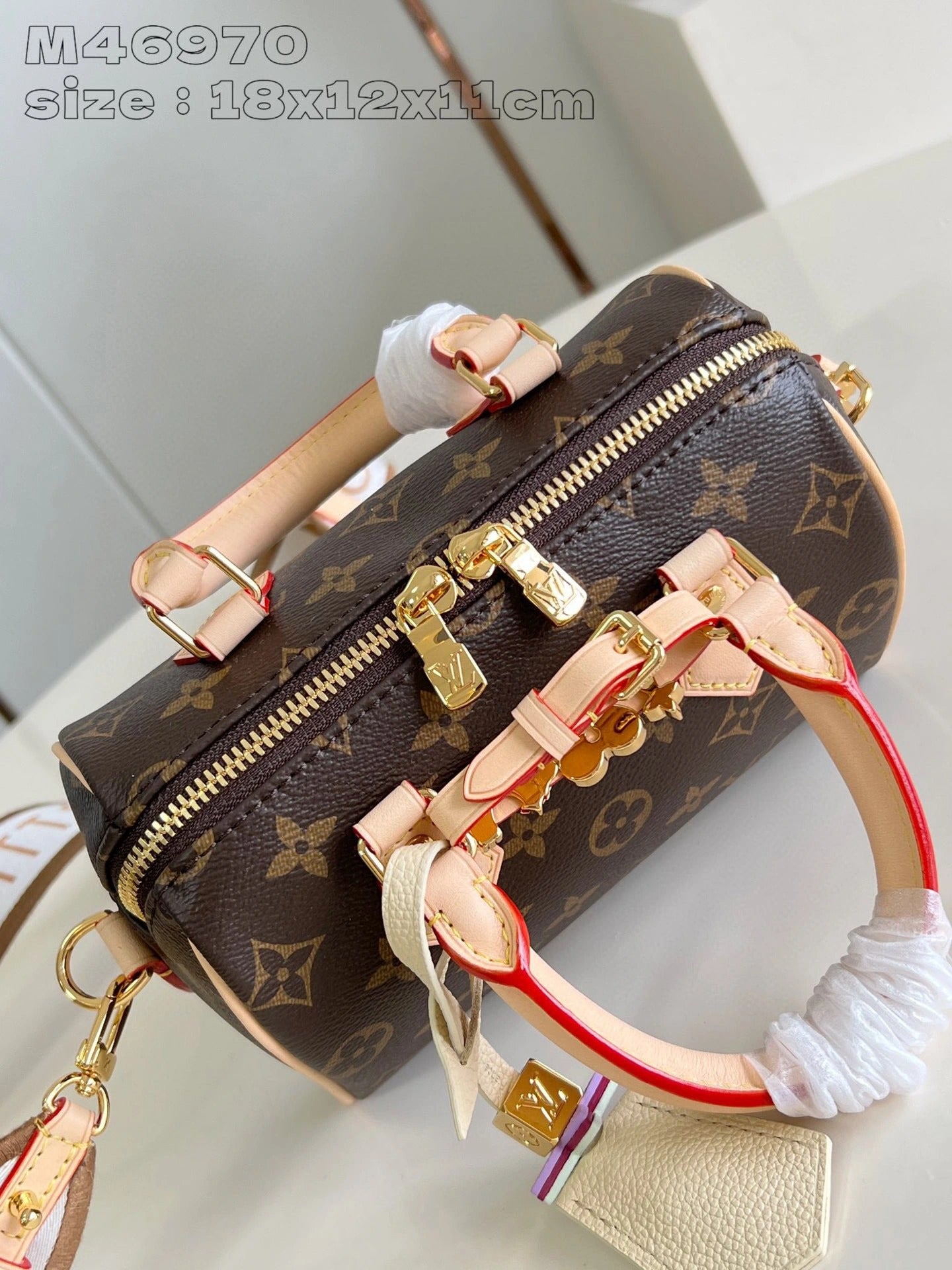 LOUIS VUITTON BAG