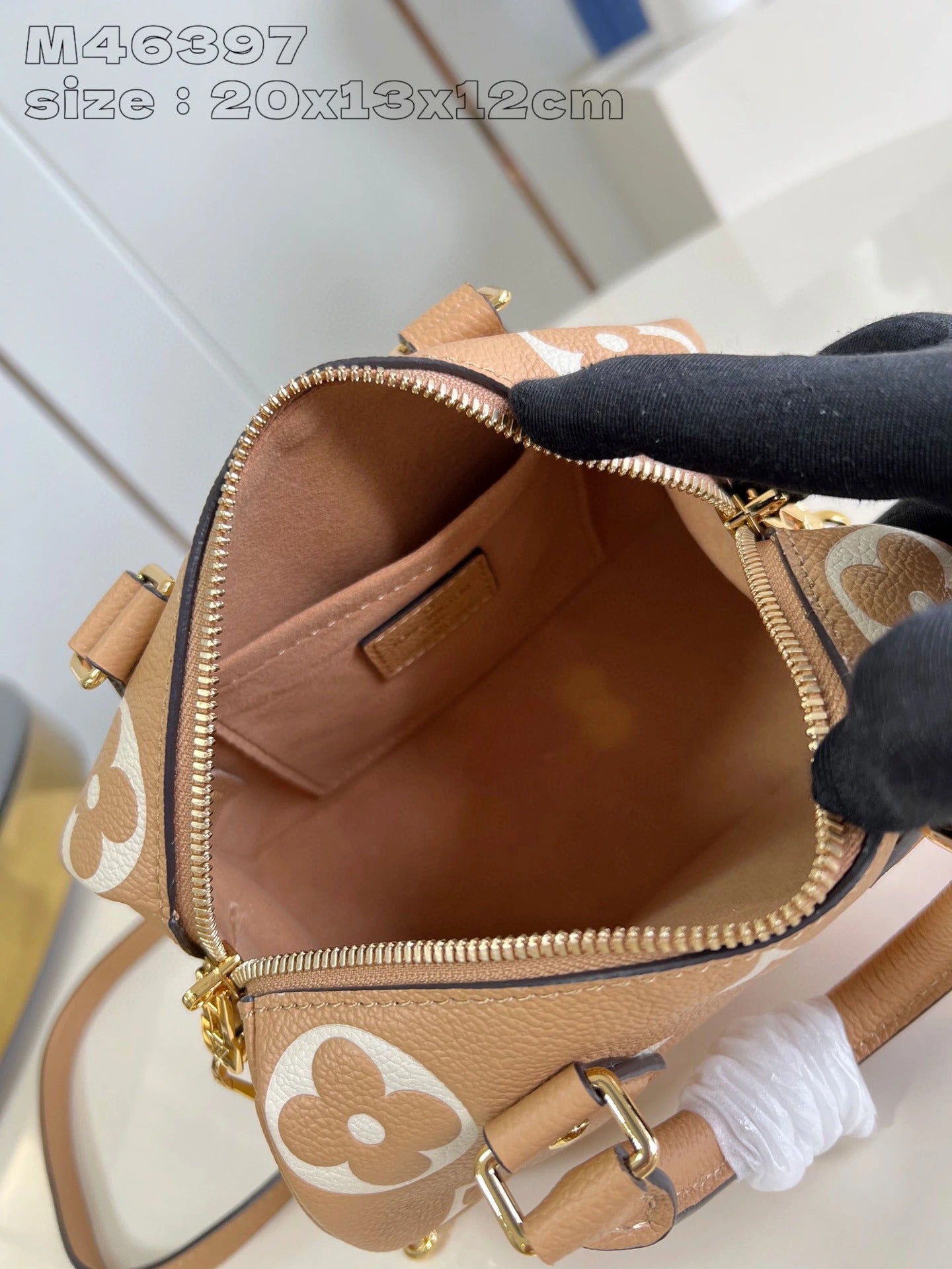 LOUIS VUITTON BAG