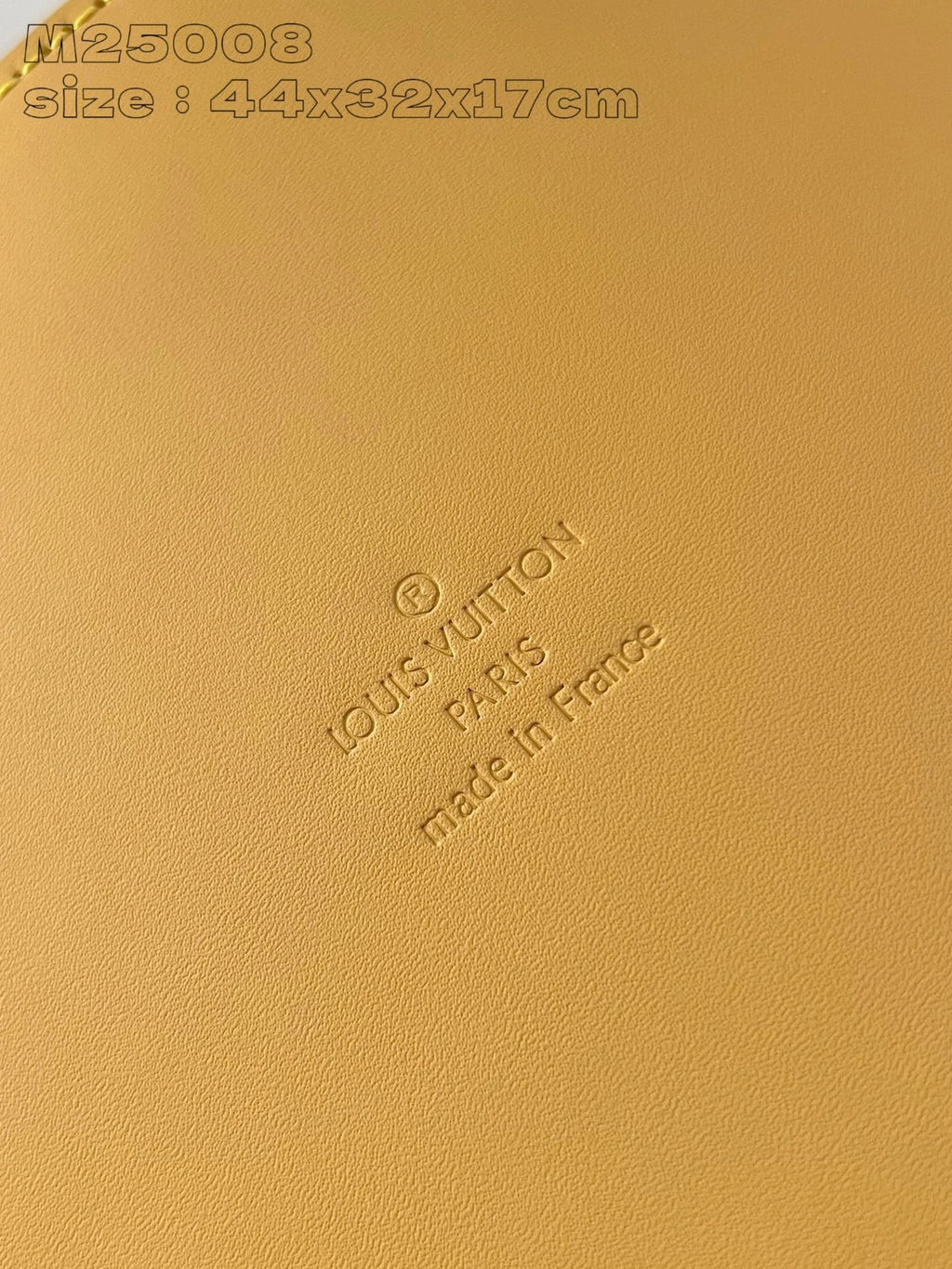 LOUIS VUITTON BAG