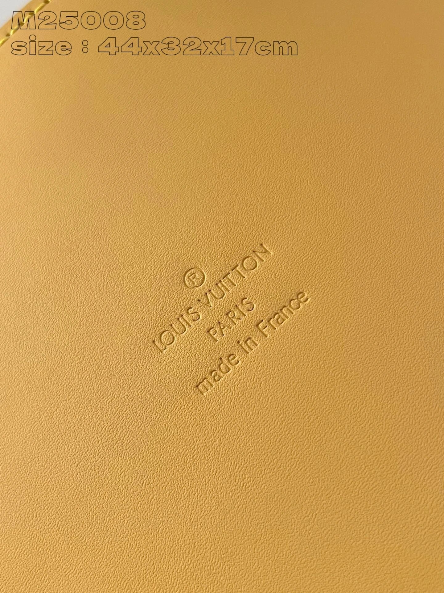 LOUIS VUITTON BAG