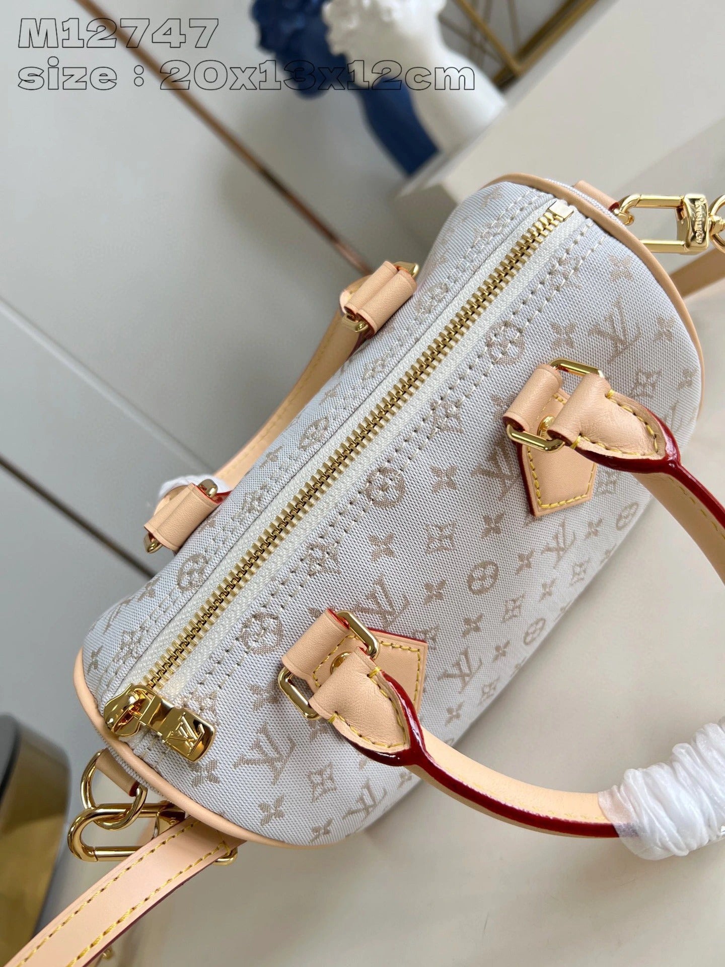 LOUIS VUITTON BAG
