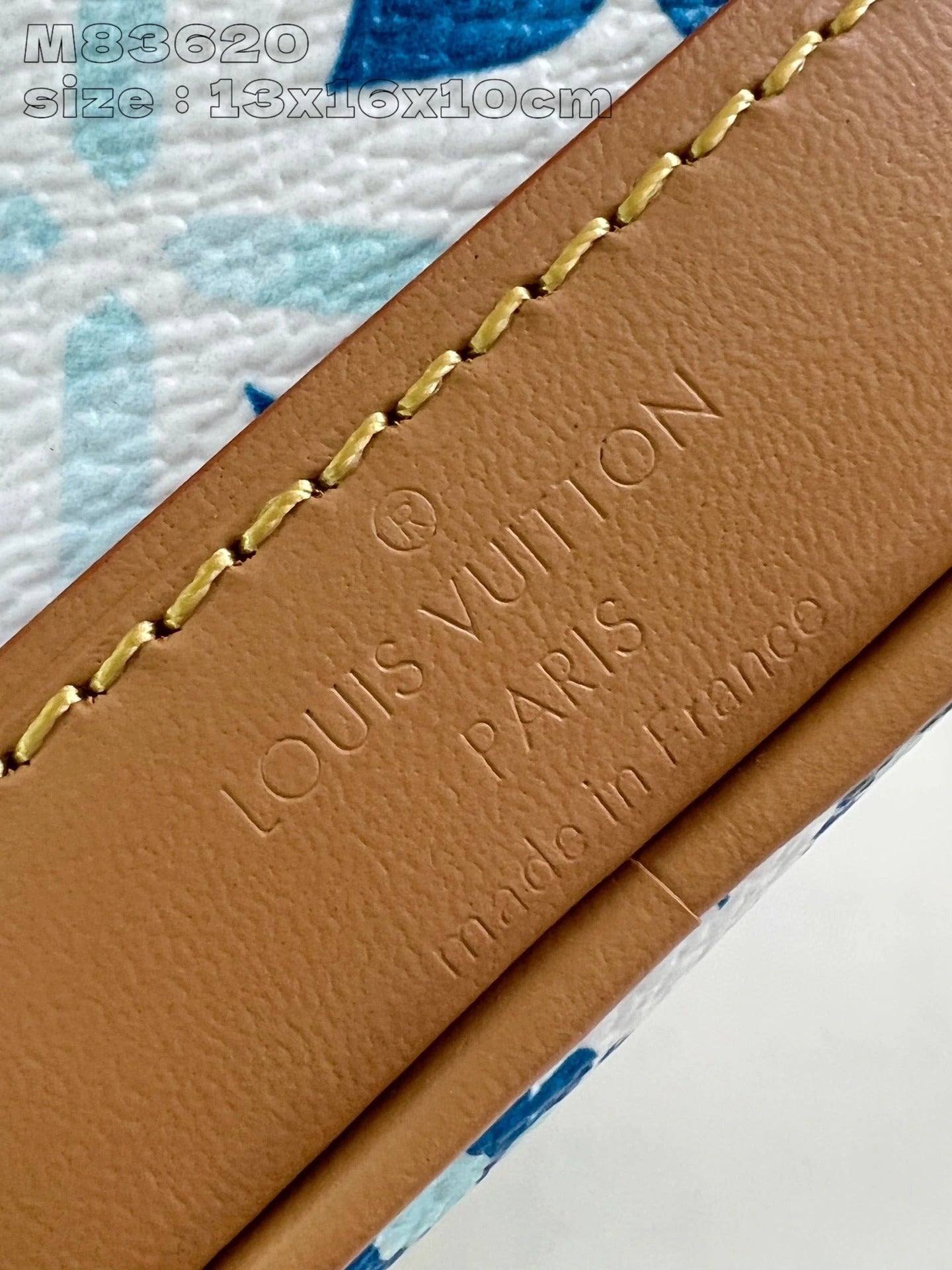 LOUIS VUITTON BAG