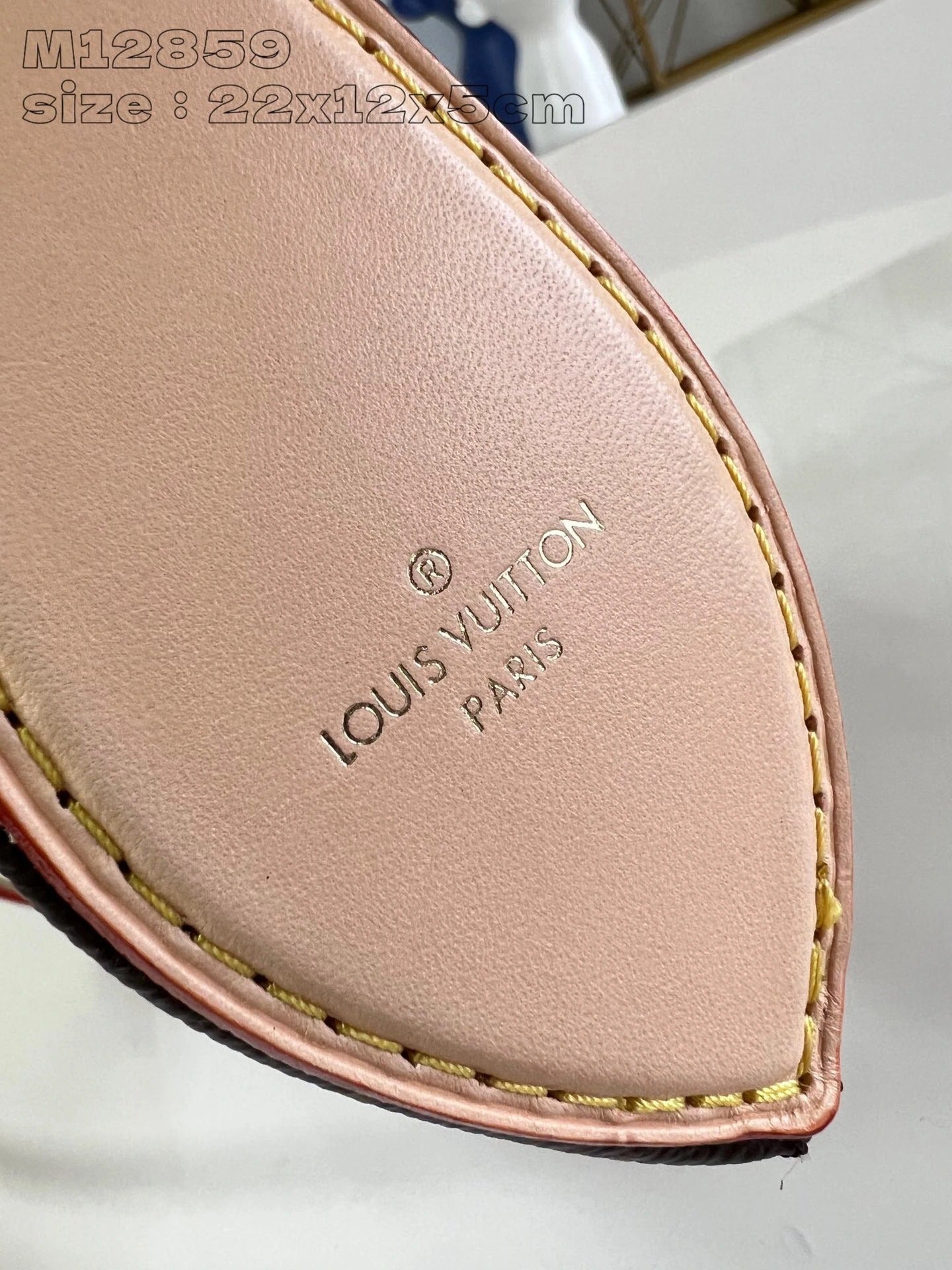 LOUIS VUITTON BAG
