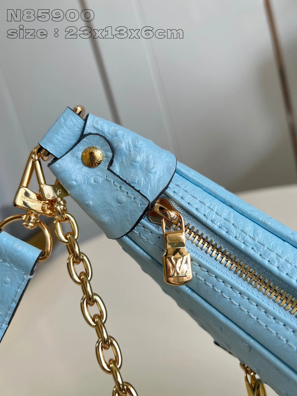 LOUIS VUITTON BAG