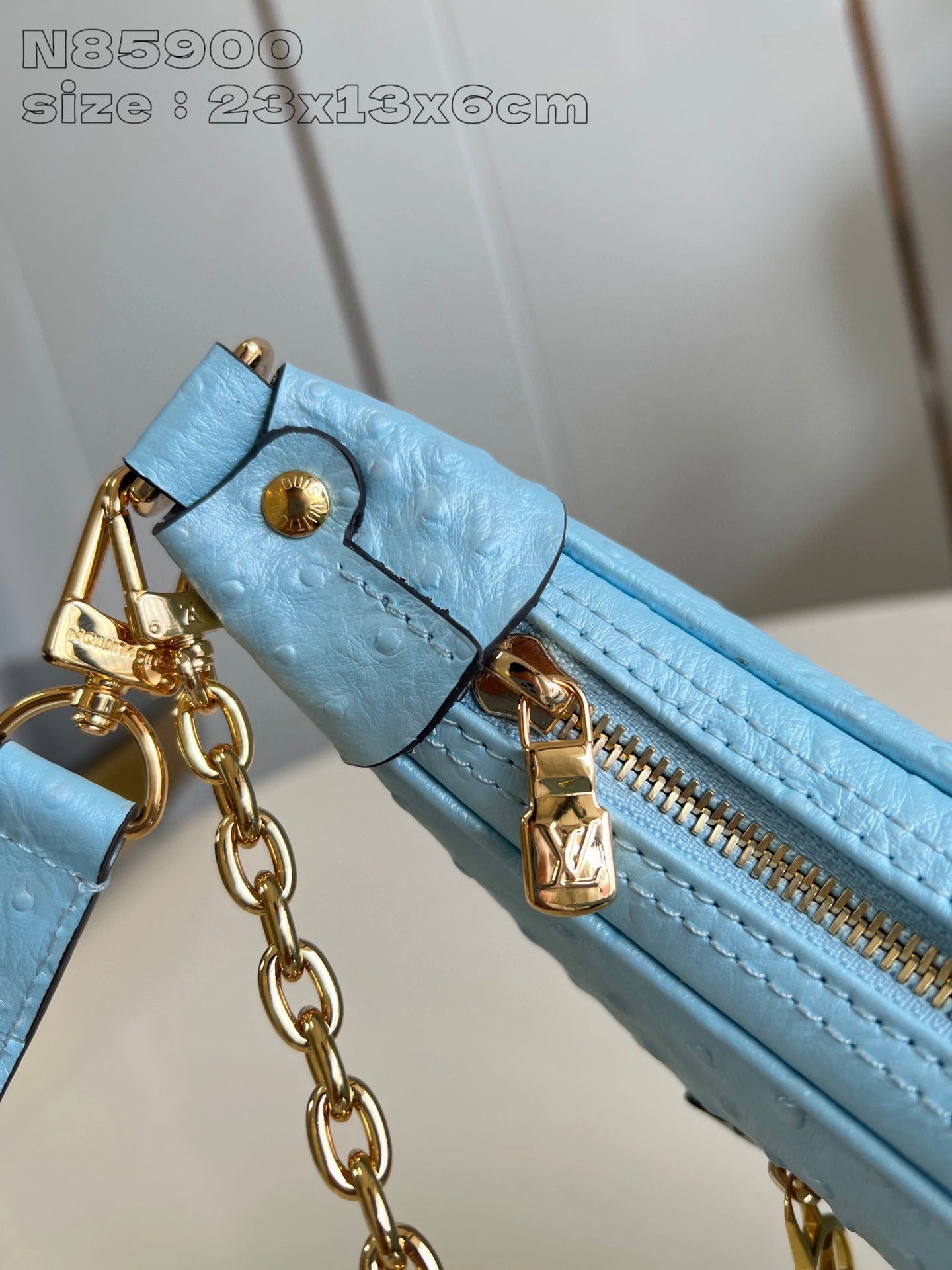 LOUIS VUITTON BAG