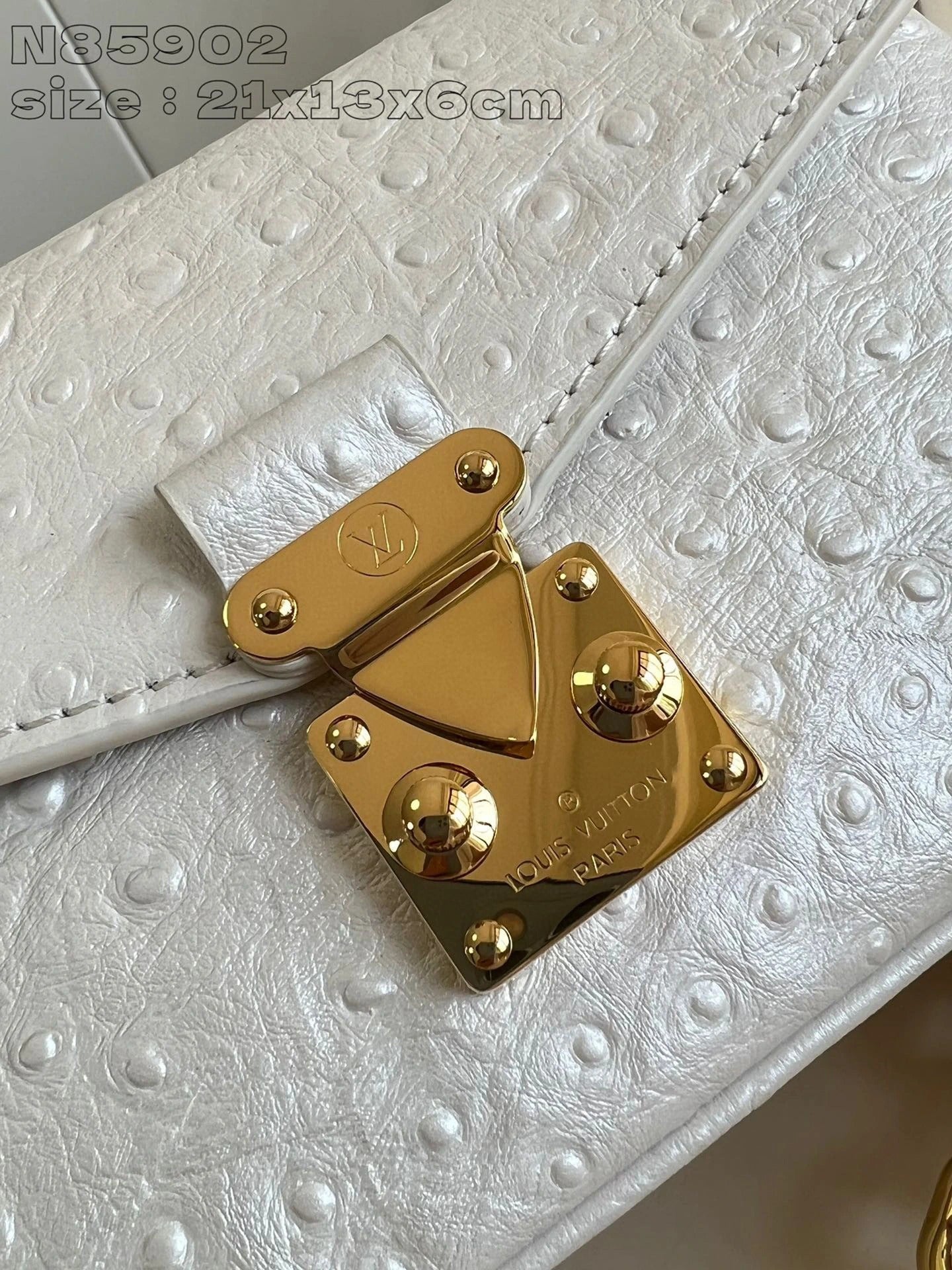 LOUIS VUITTON BAG