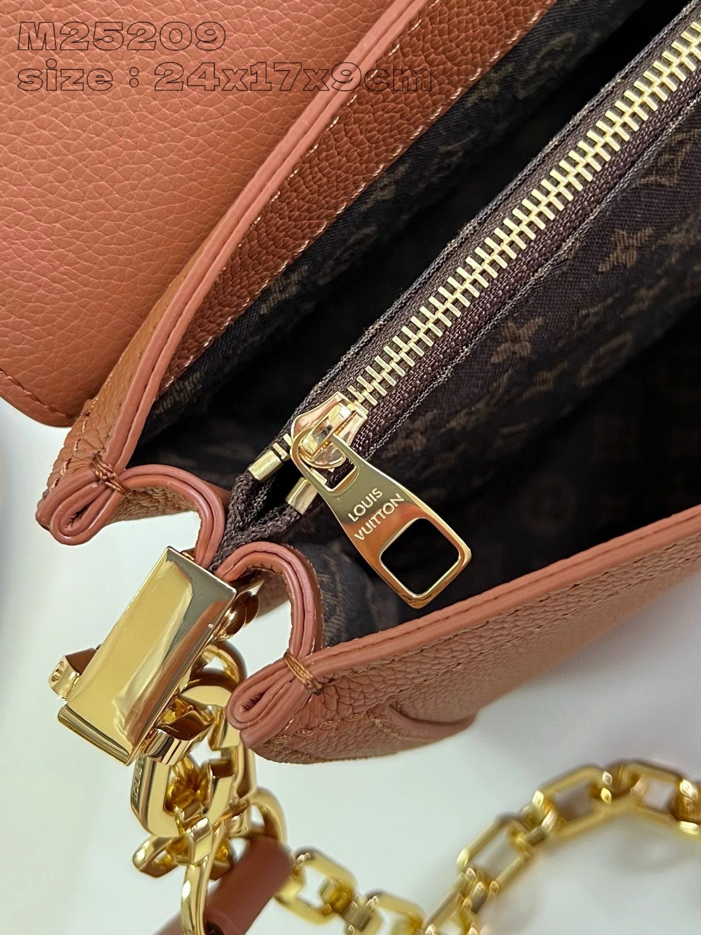 LOUIS VUITTON BAG