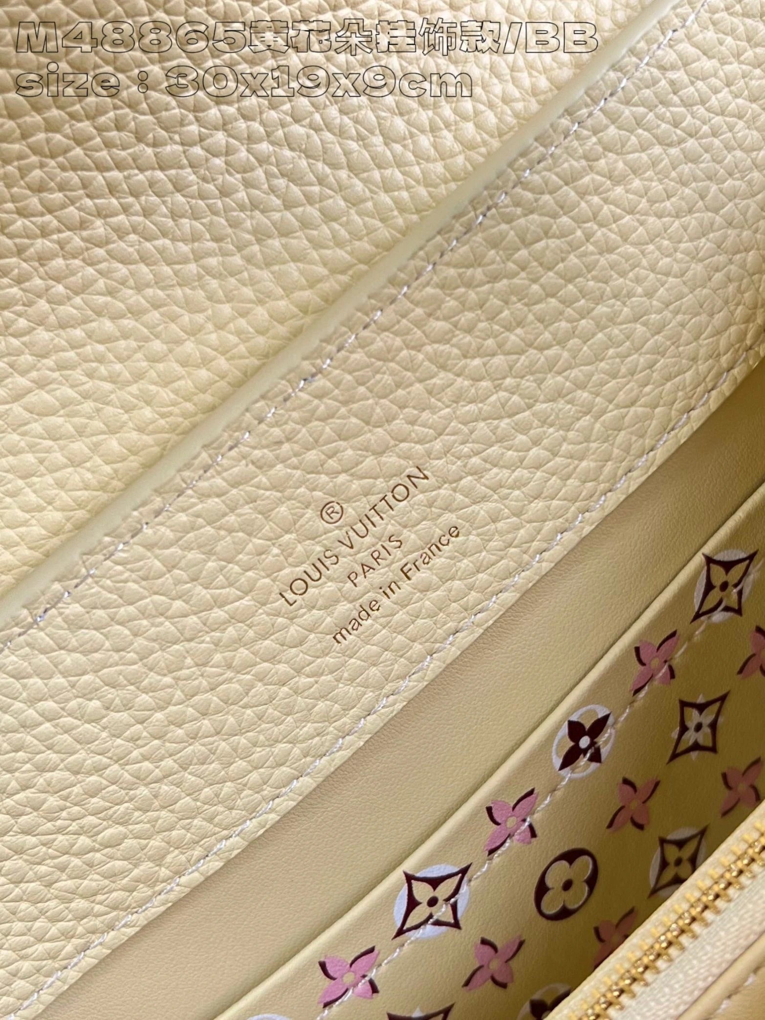 LOUIS VUITTON BAG