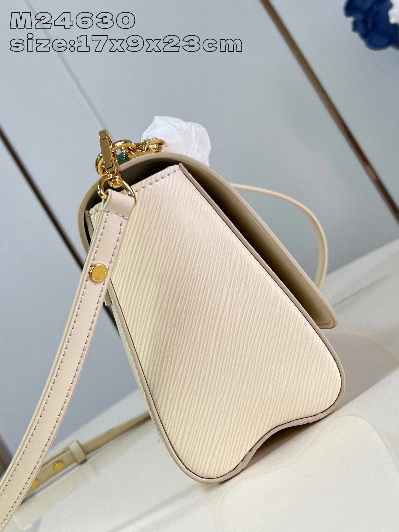 LOUIS VUITTON BAG