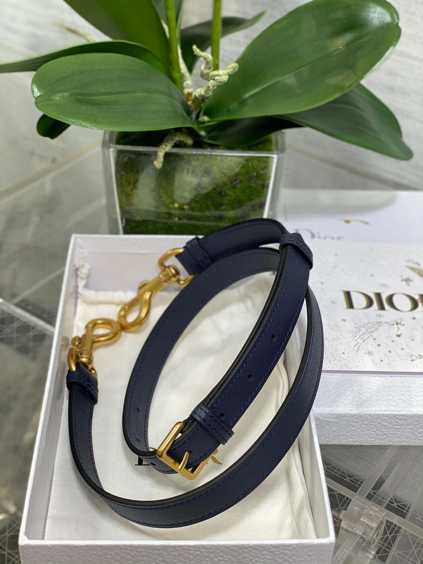 DIOR BAG