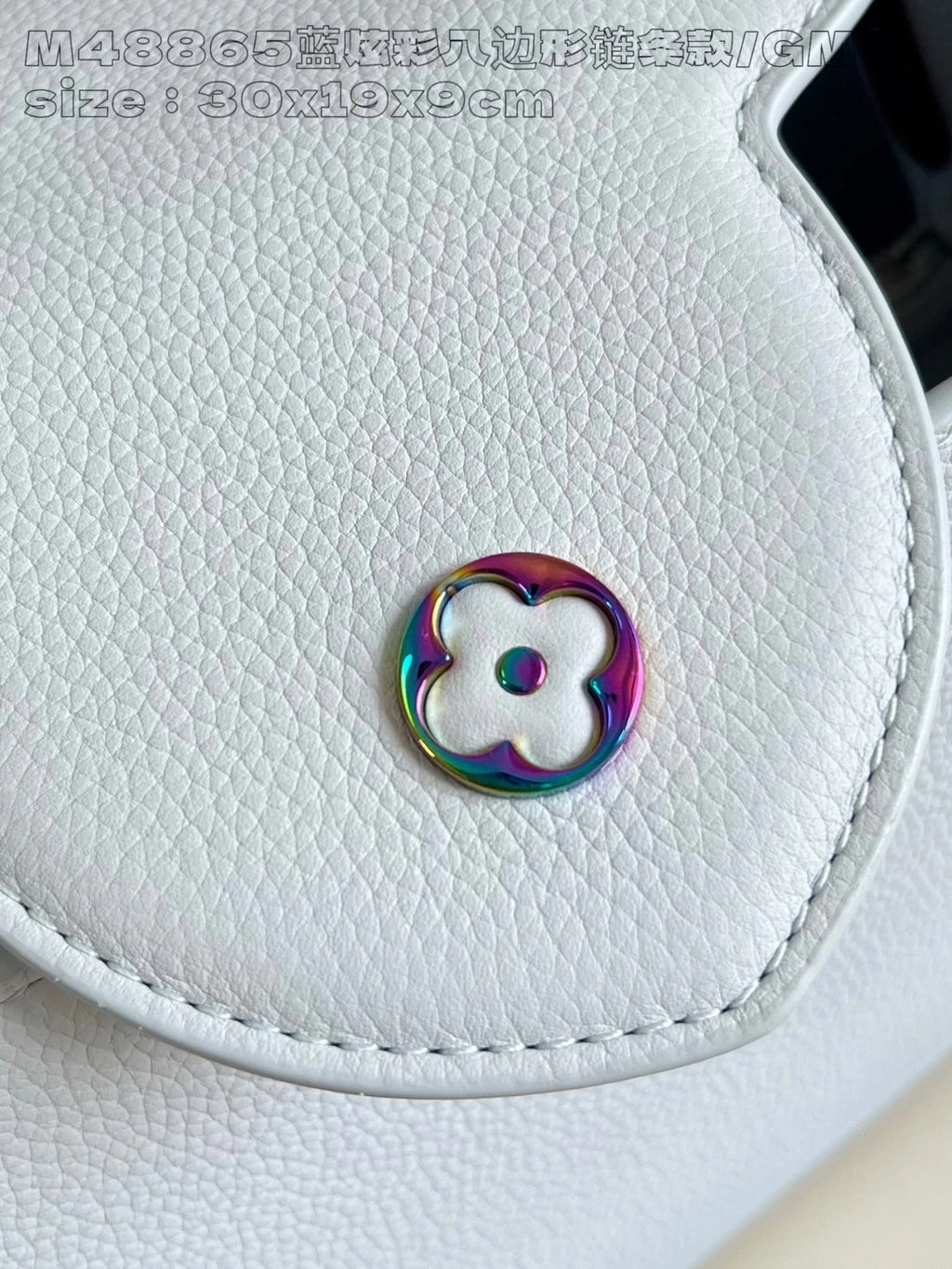 LOUIS VUITTON BAG