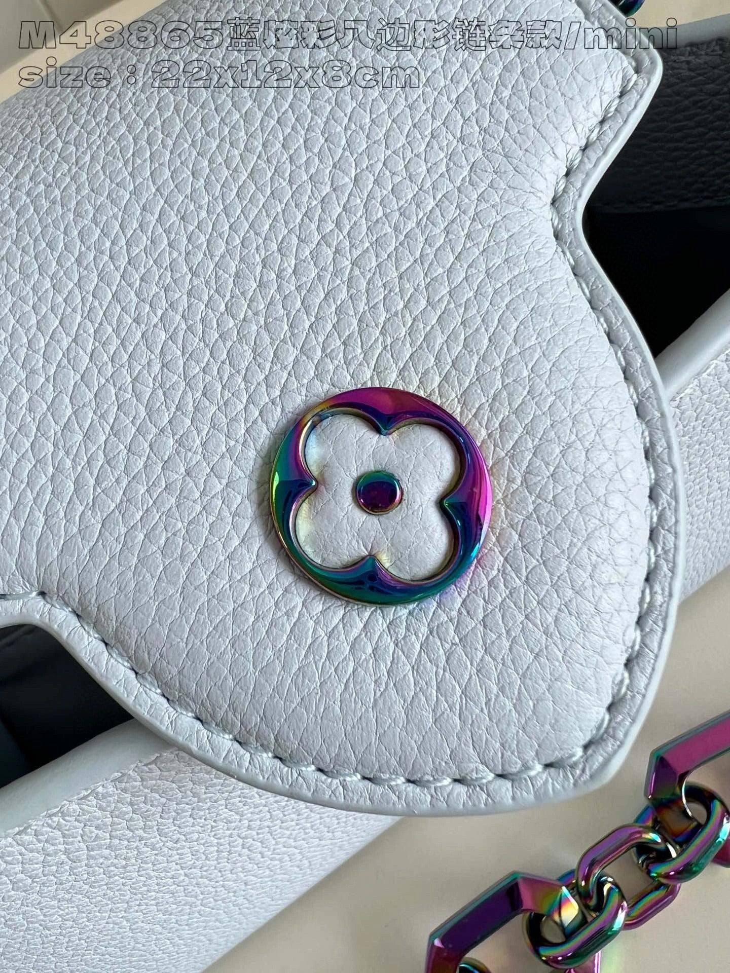 LOUIS VUITTON BAG