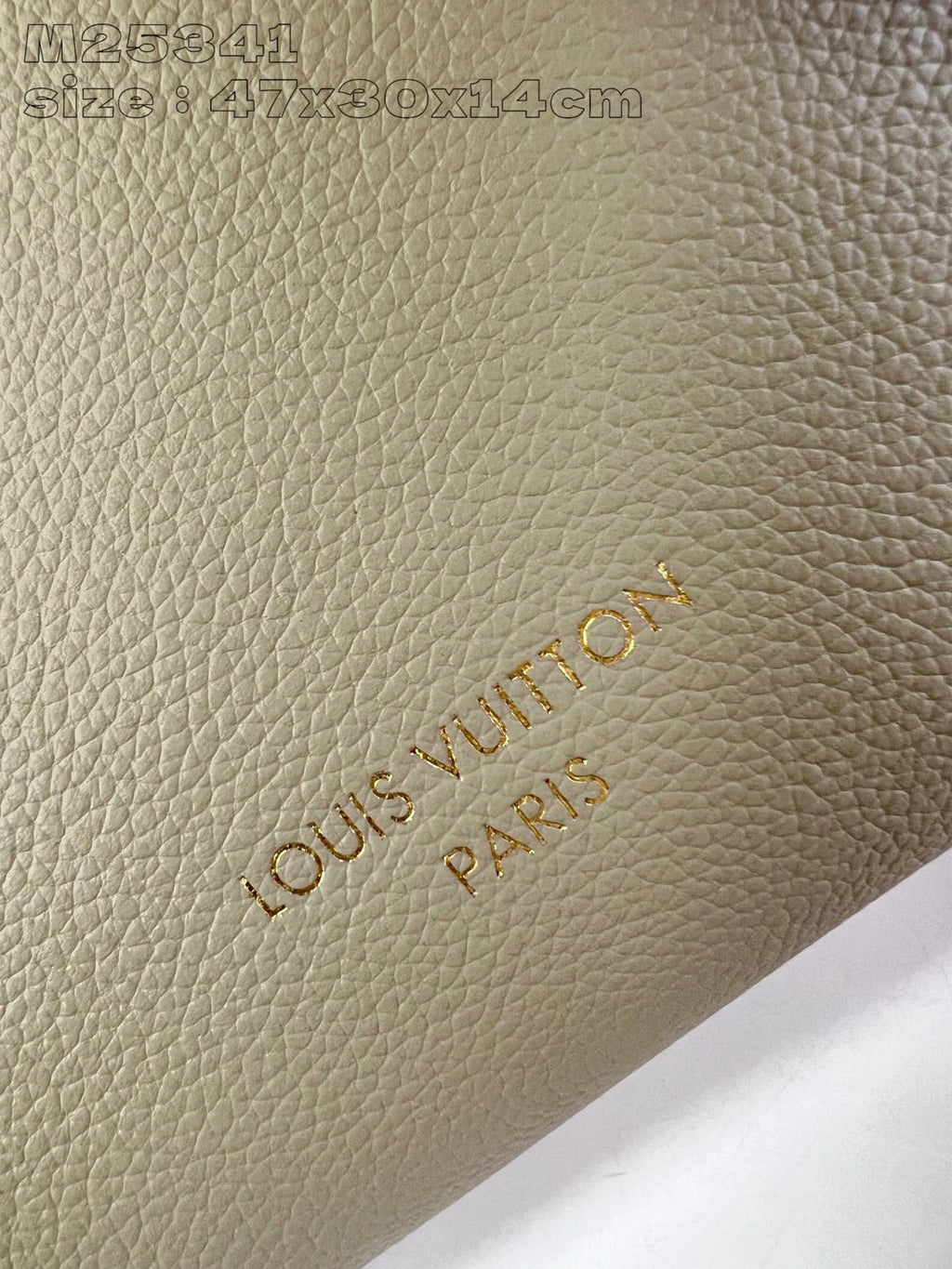 LOUIS VUITTON BAG