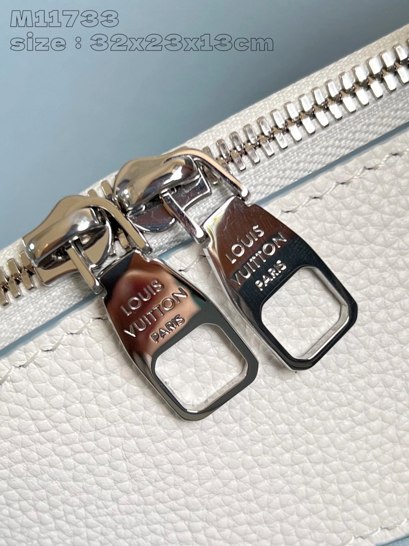 LOUIS VUITTON BAG