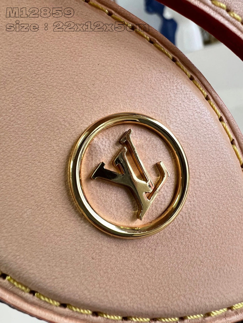 LOUIS VUITTON BAG
