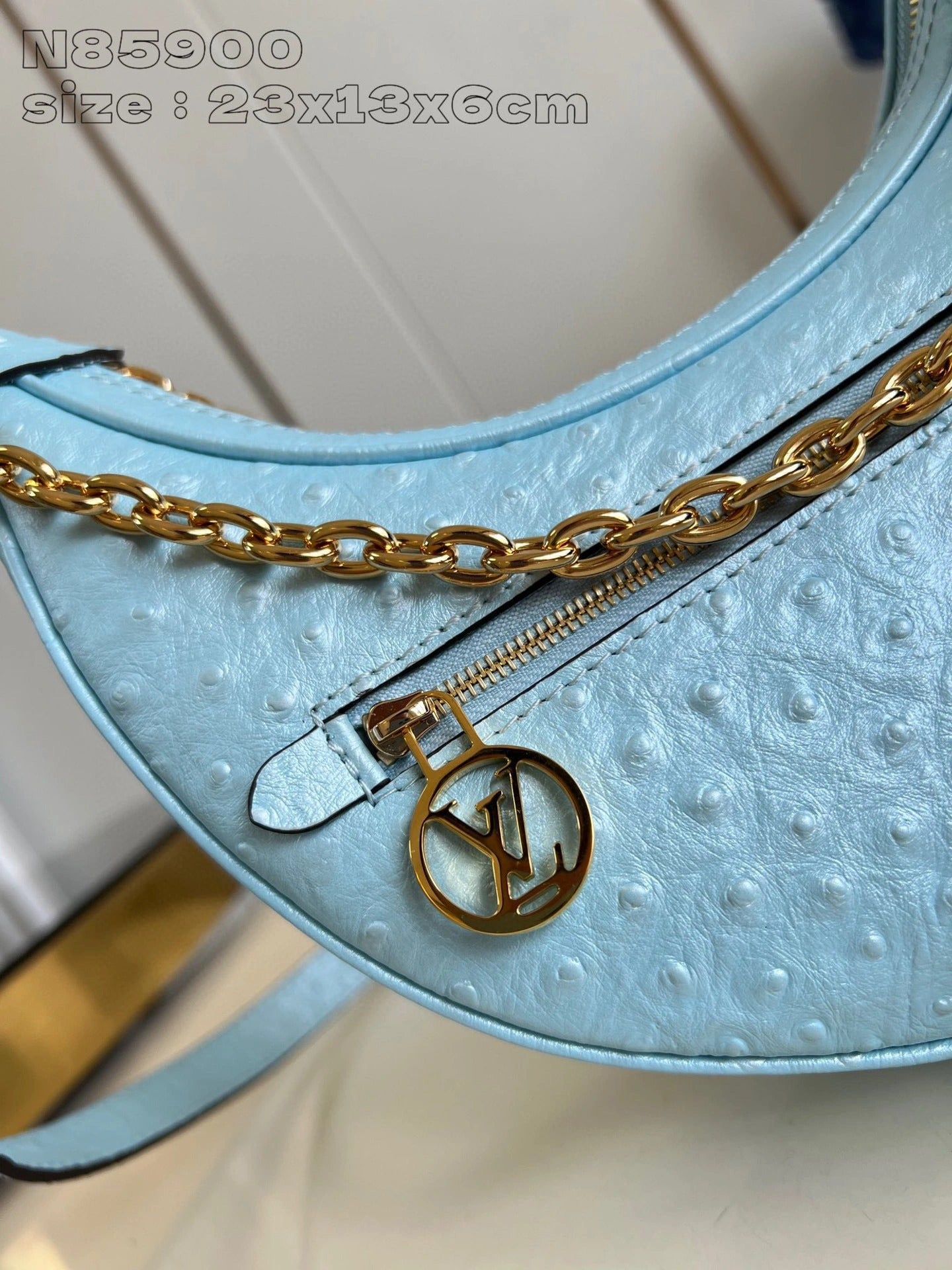 LOUIS VUITTON BAG