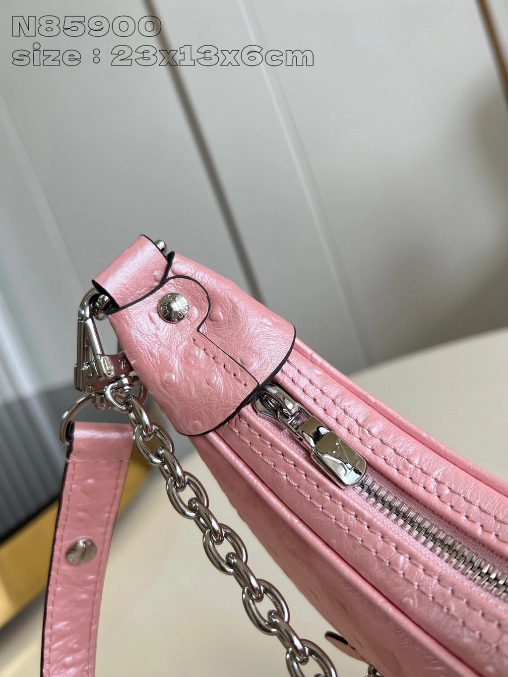 LOUIS VUITTON BAG