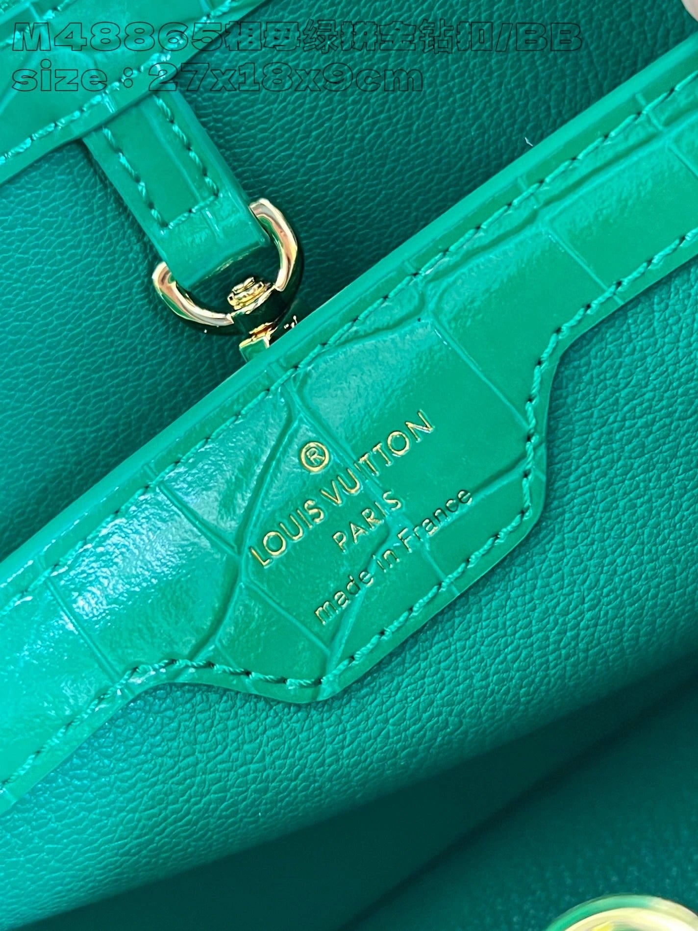 LOUIS VUITTON BAG