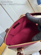 LOUIS VUITTON BAG