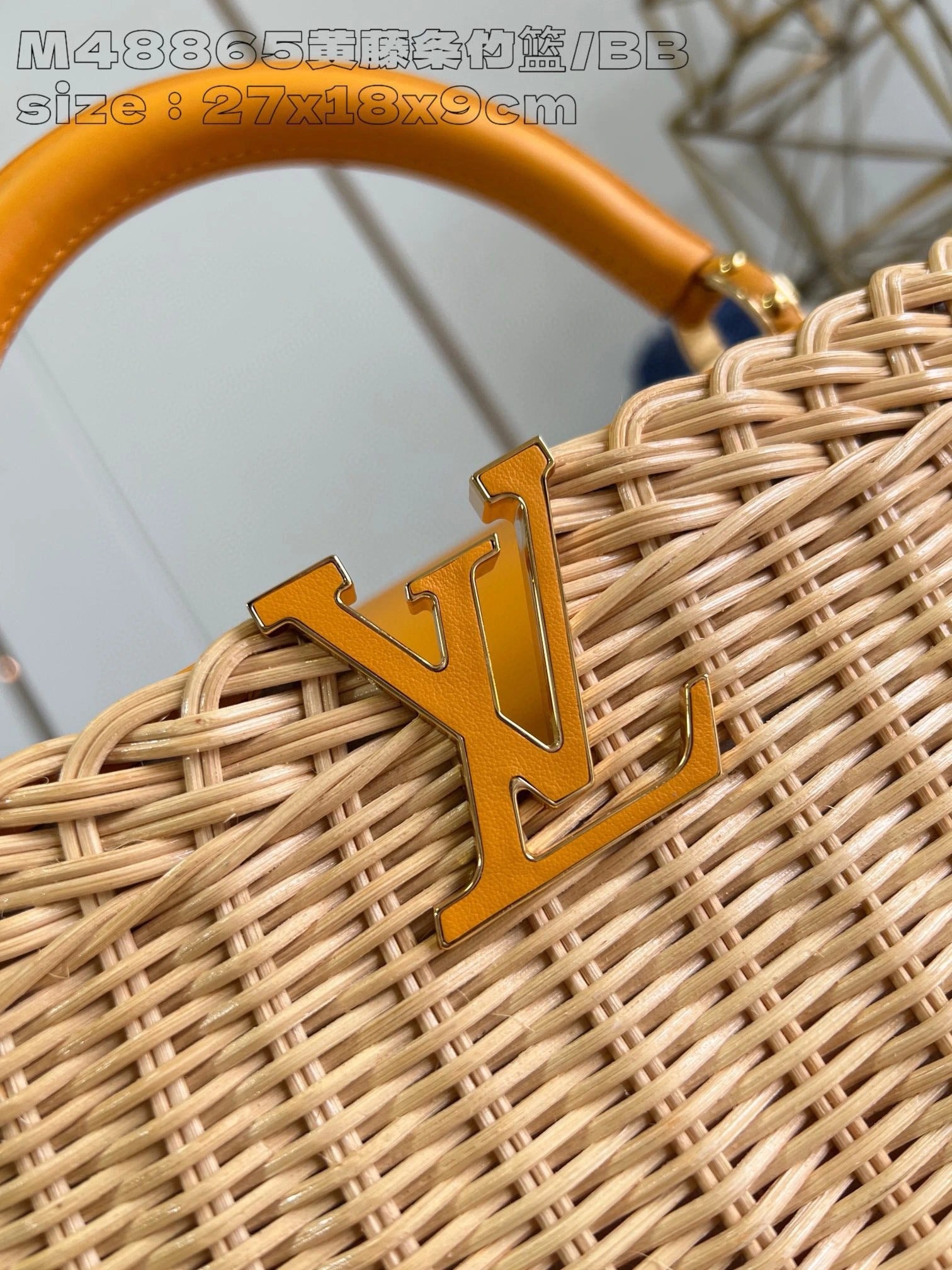 LOUIS VUITTON BAG