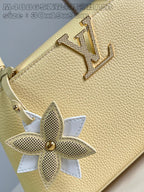 LOUIS VUITTON BAG