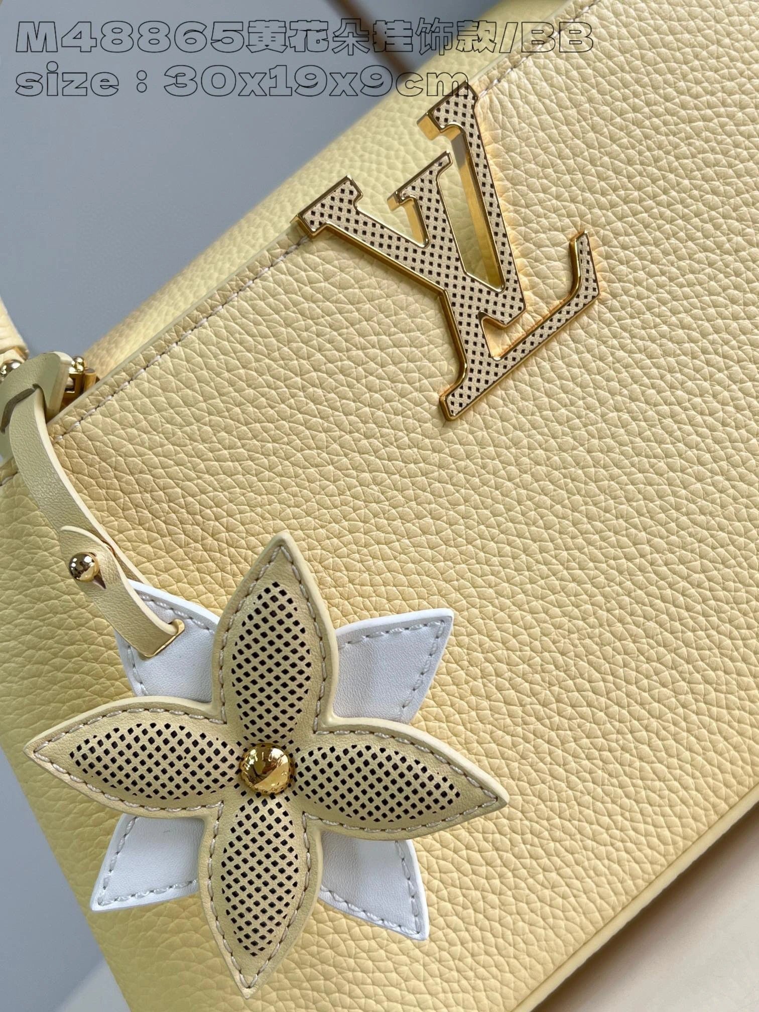 LOUIS VUITTON BAG