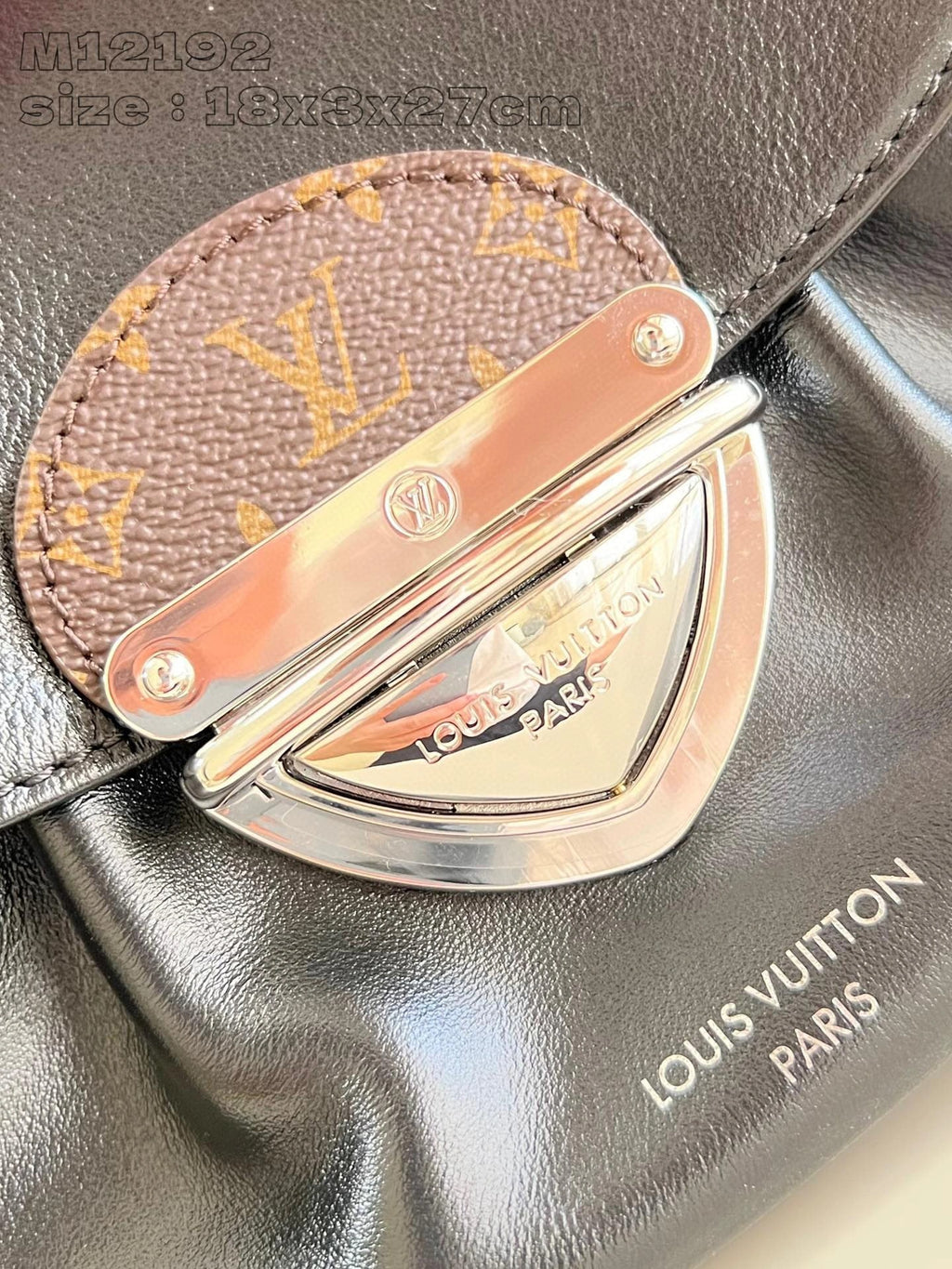 LOUIS VUITTON BAG