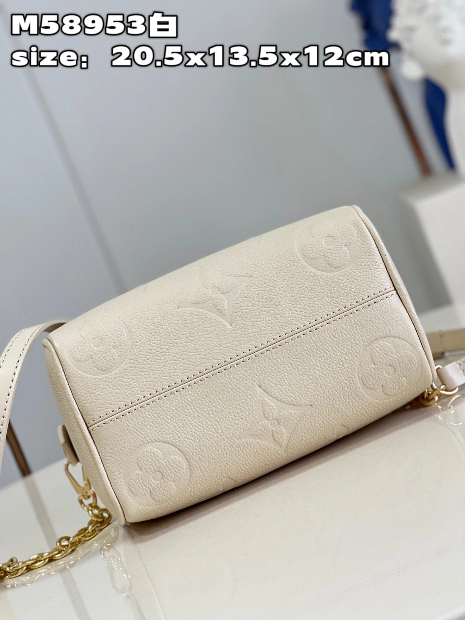 LOUIS VUITTON BAG