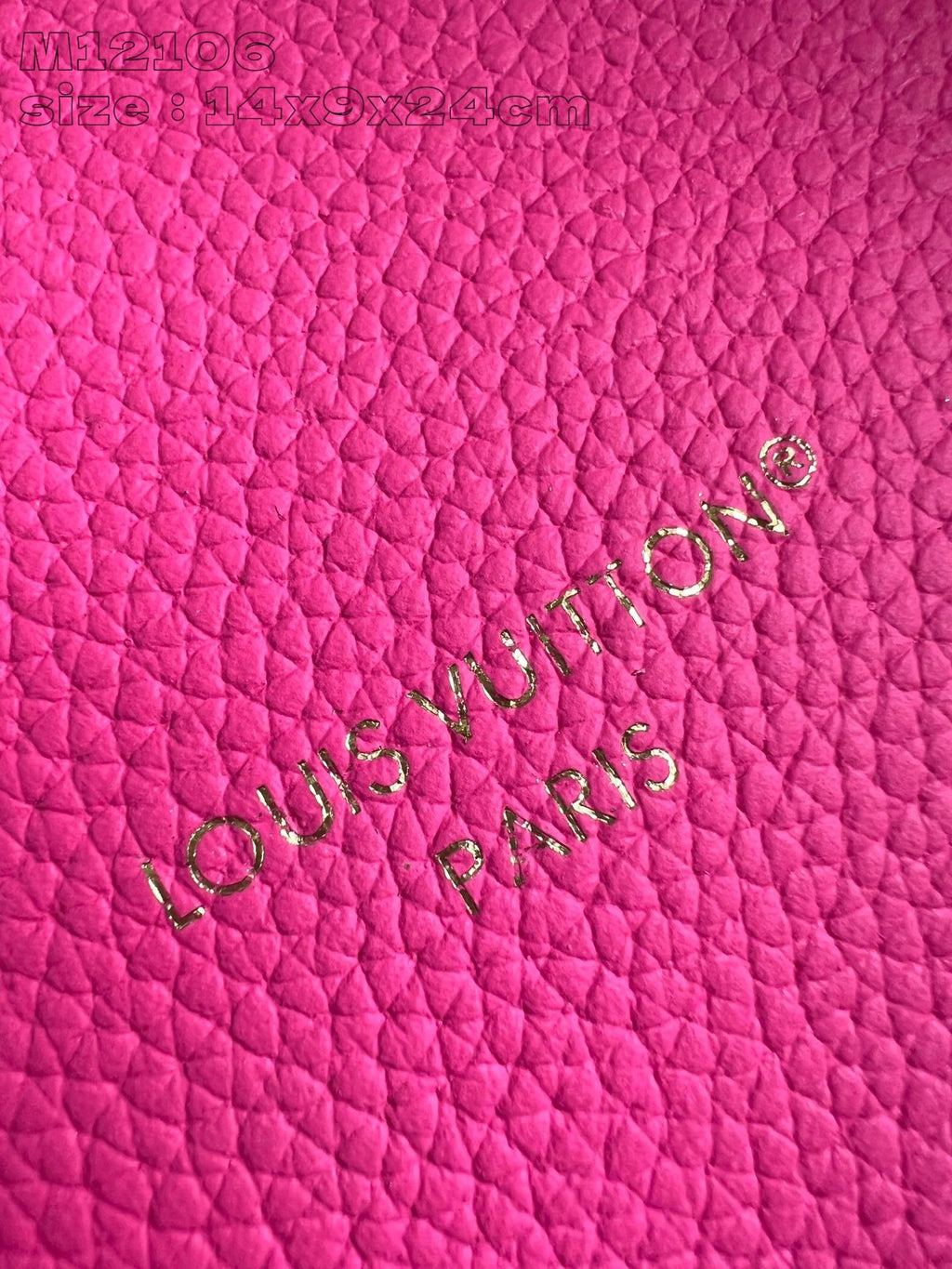 LOUIS VUITTON BAG