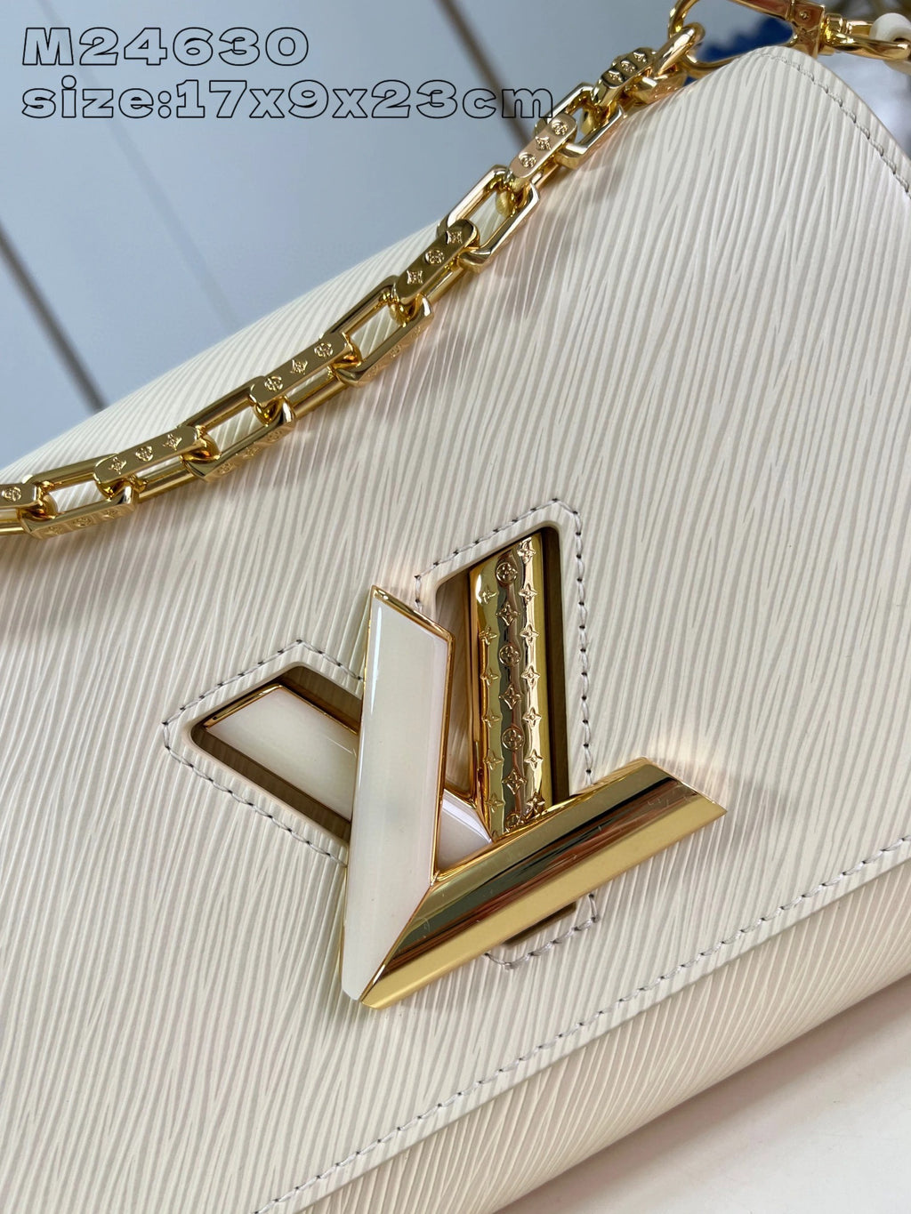 LOUIS VUITTON BAG