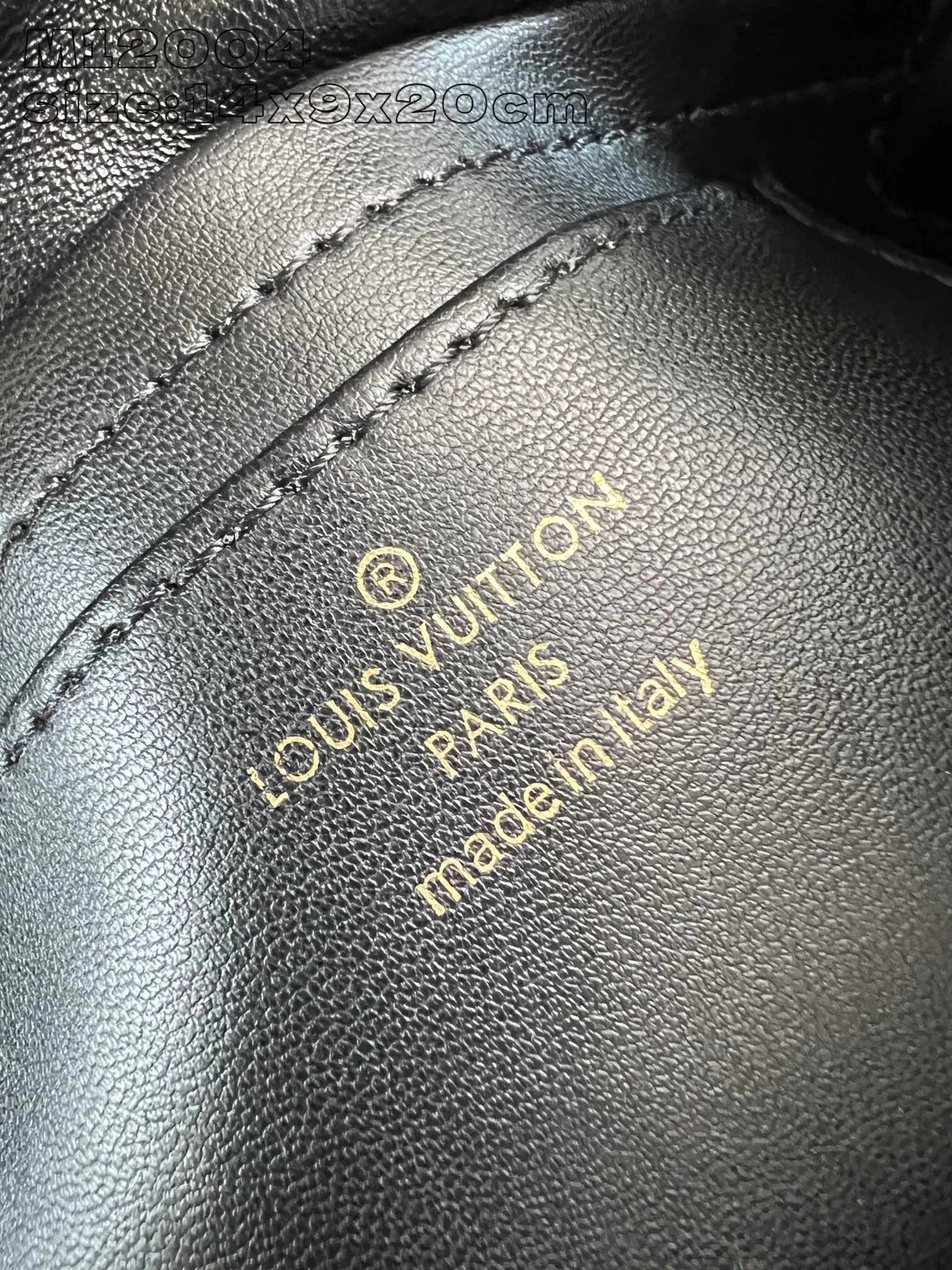 LOUIS VUITTON BAG