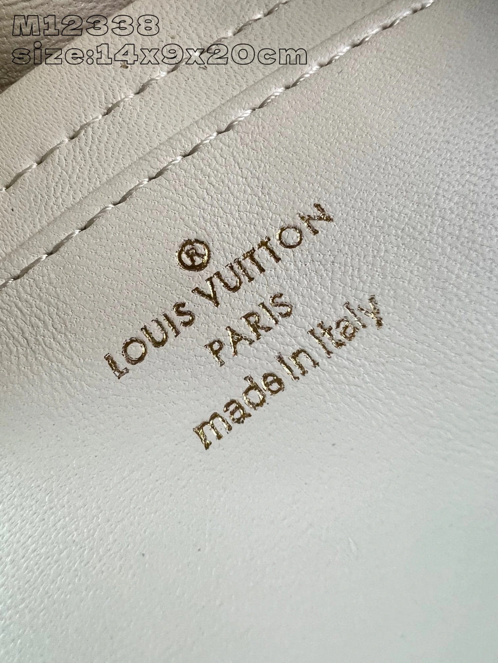 LOUIS VUITTON BAG