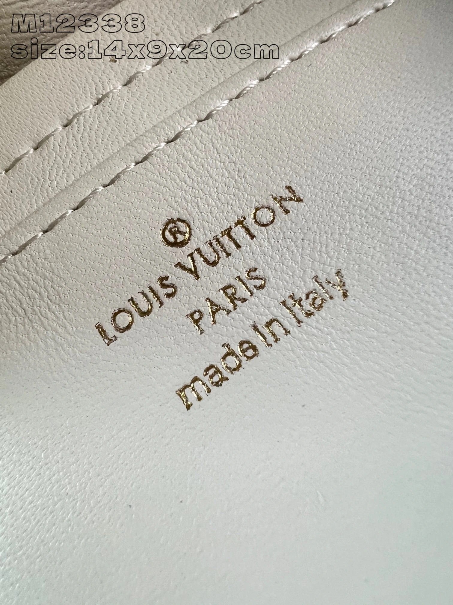 LOUIS VUITTON BAG