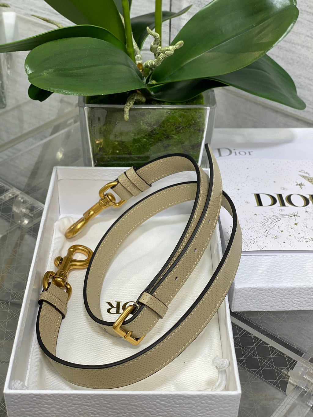 DIOR BAG