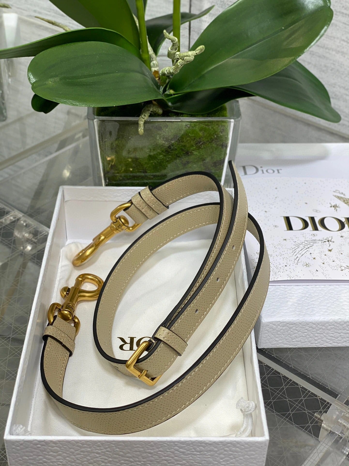 DIOR BAG