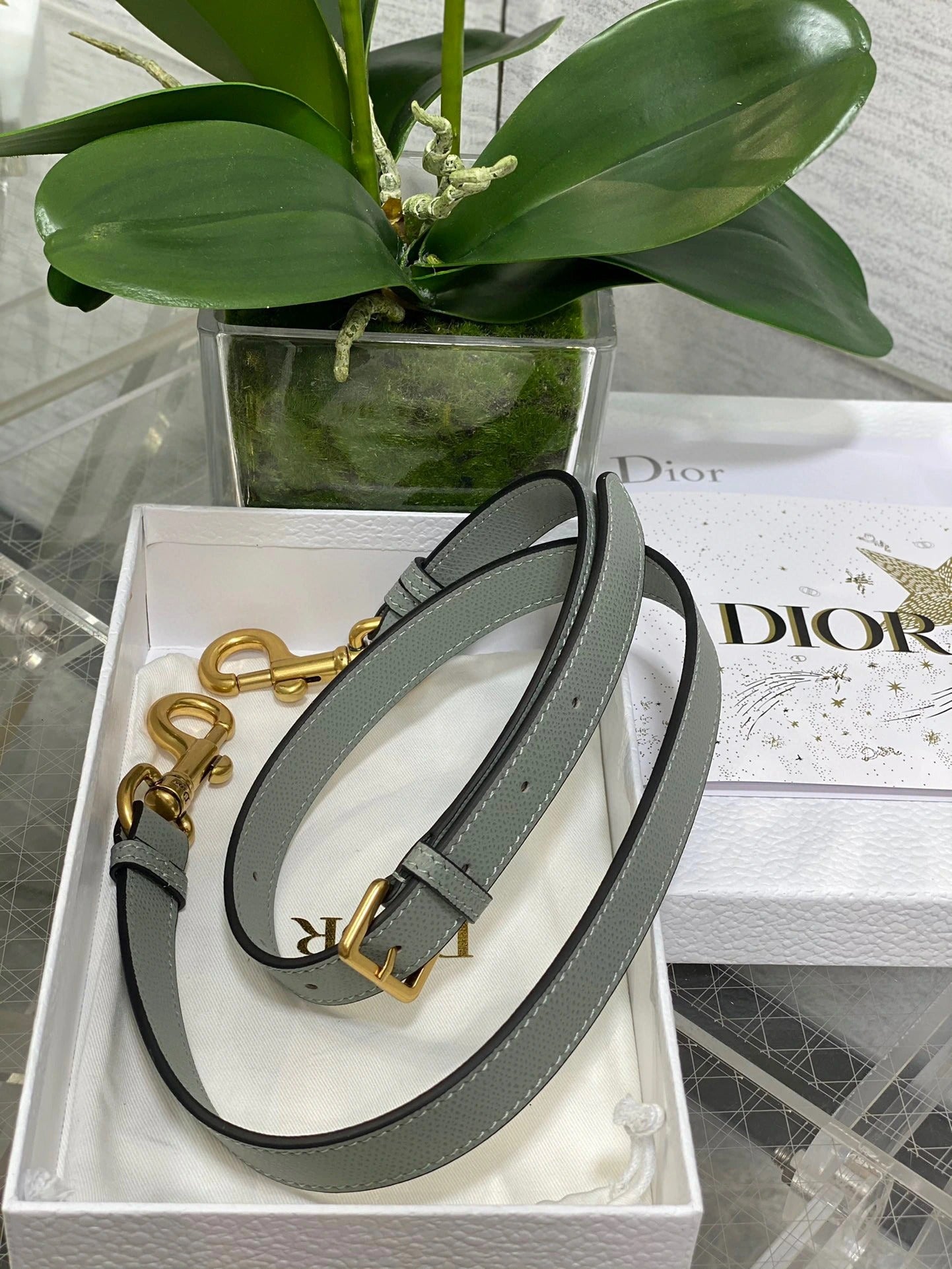 DIOR BAG