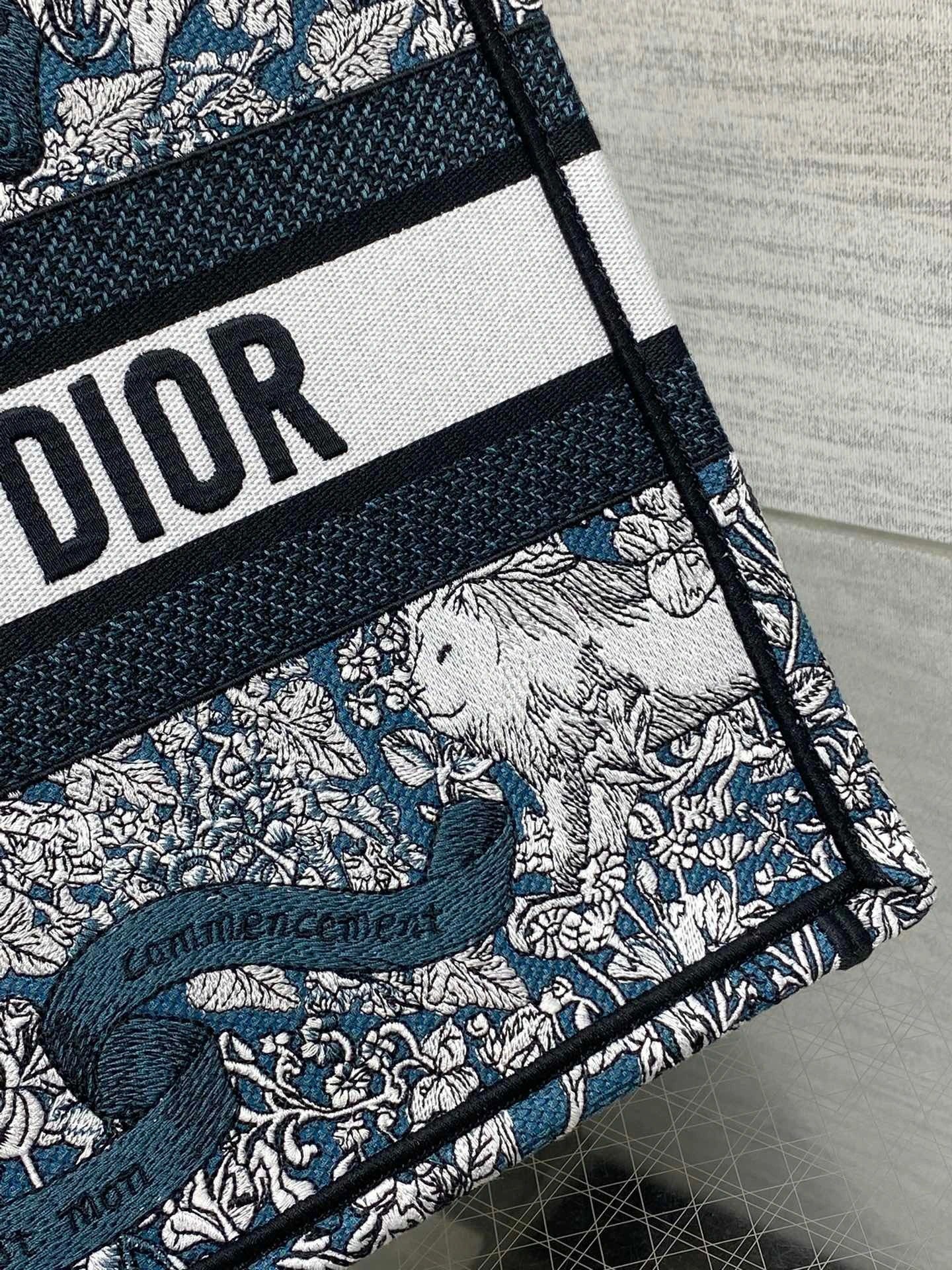 DIOR BAG