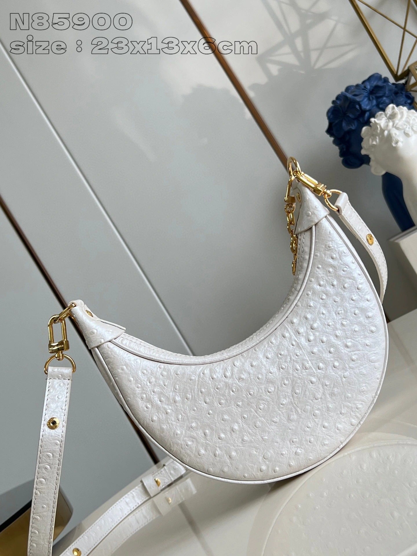 LOUIS VUITTON BAG