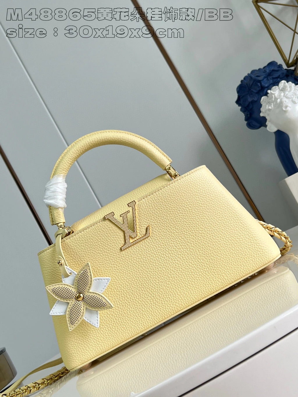 LOUIS VUITTON BAG