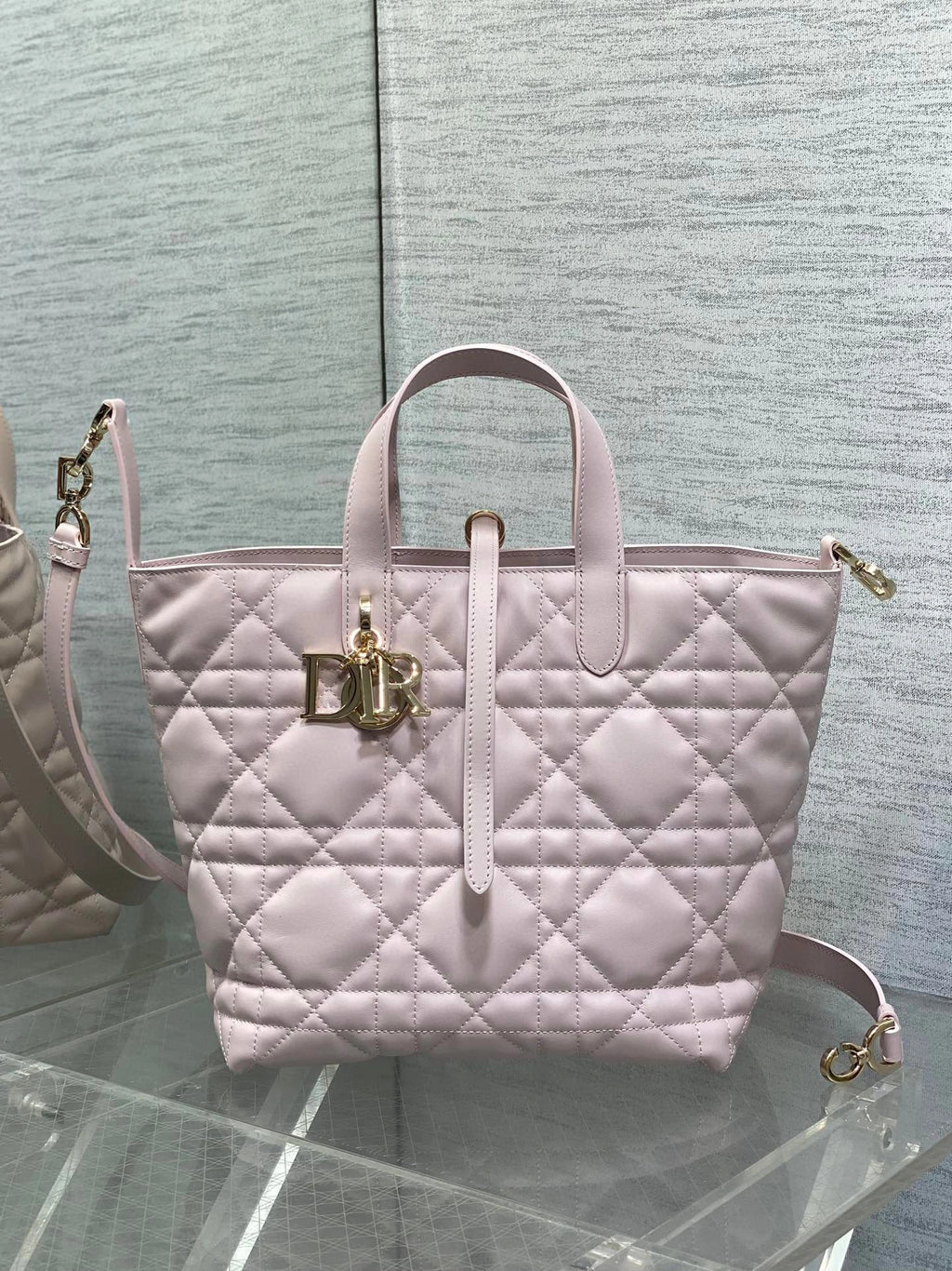 DIOR BAG