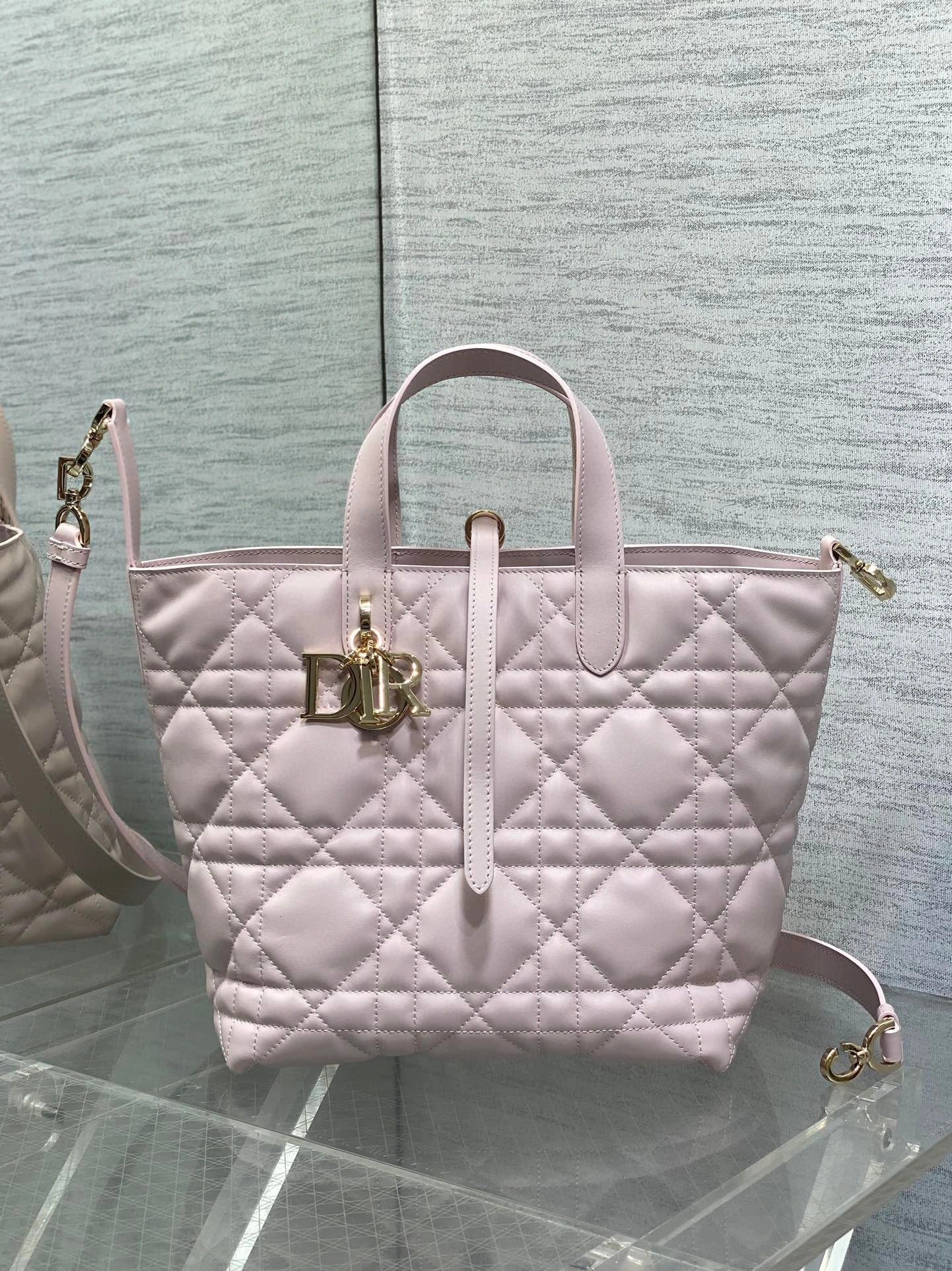 DIOR BAG