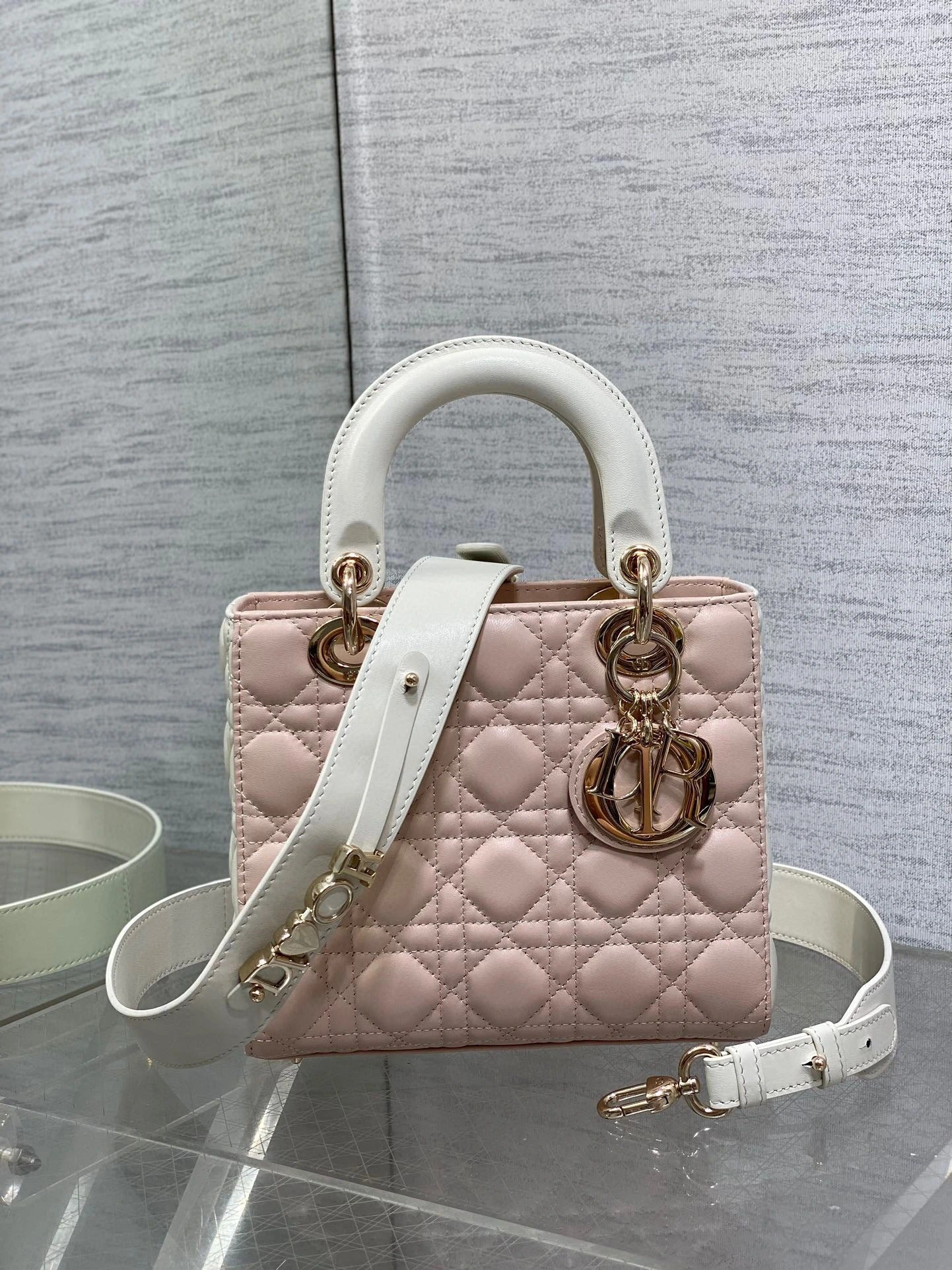 DIOR BAG