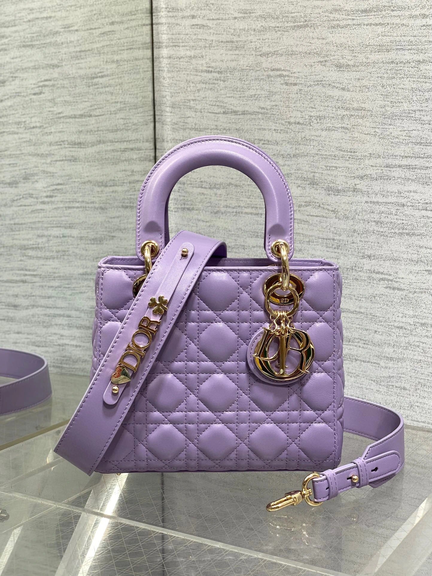 DIOR BAG