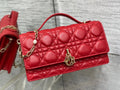 DIOR BAG