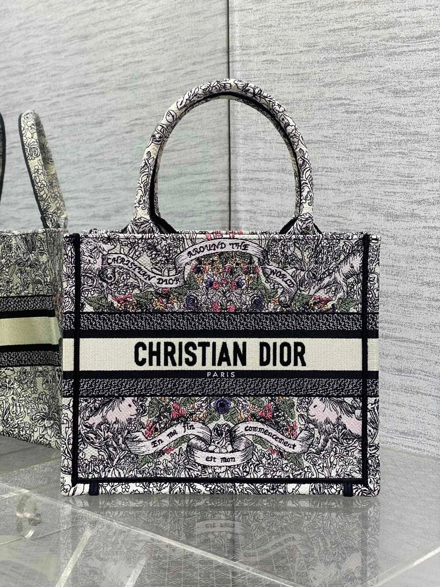 DIOR BAG
