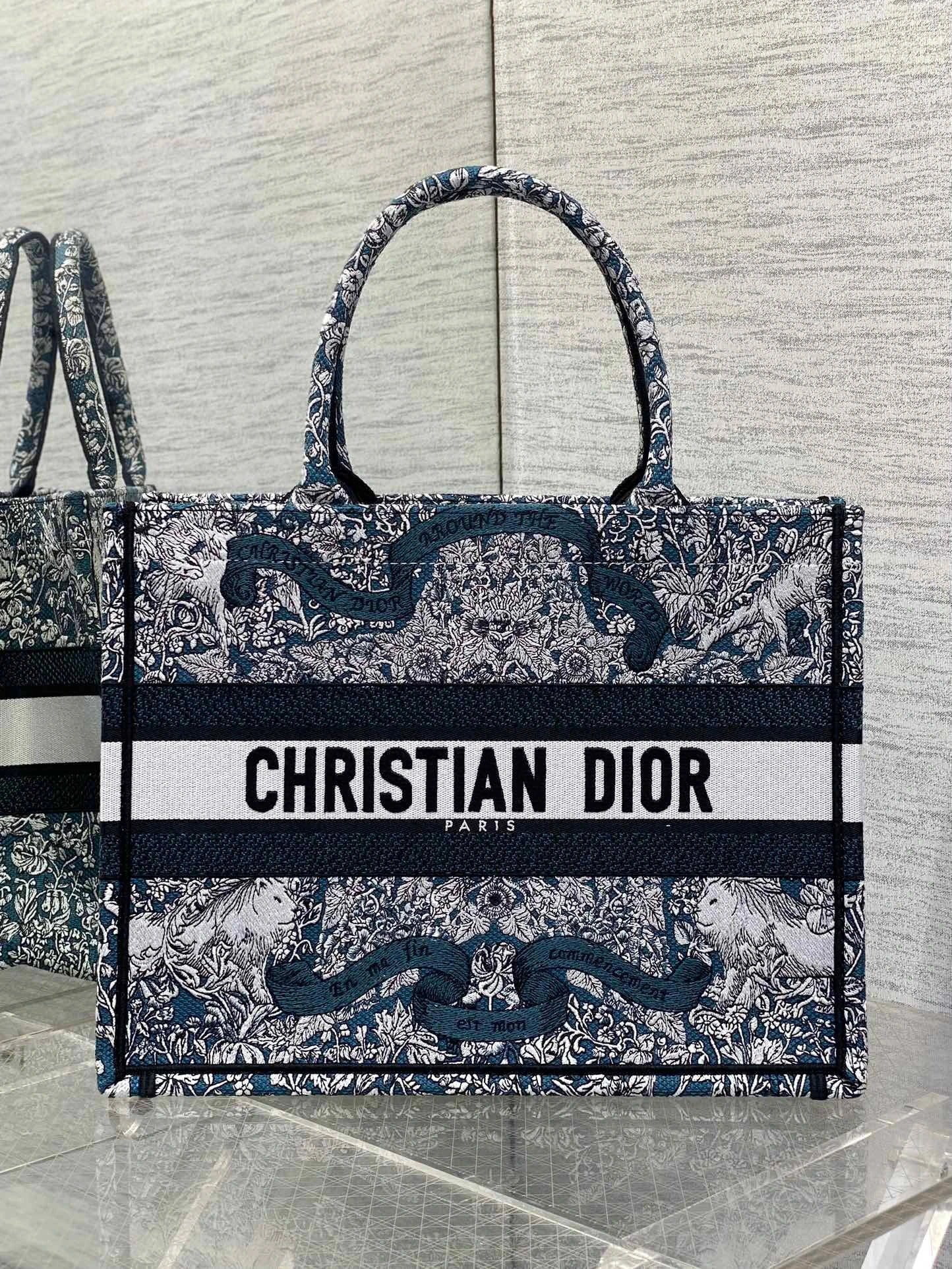 DIOR BAG