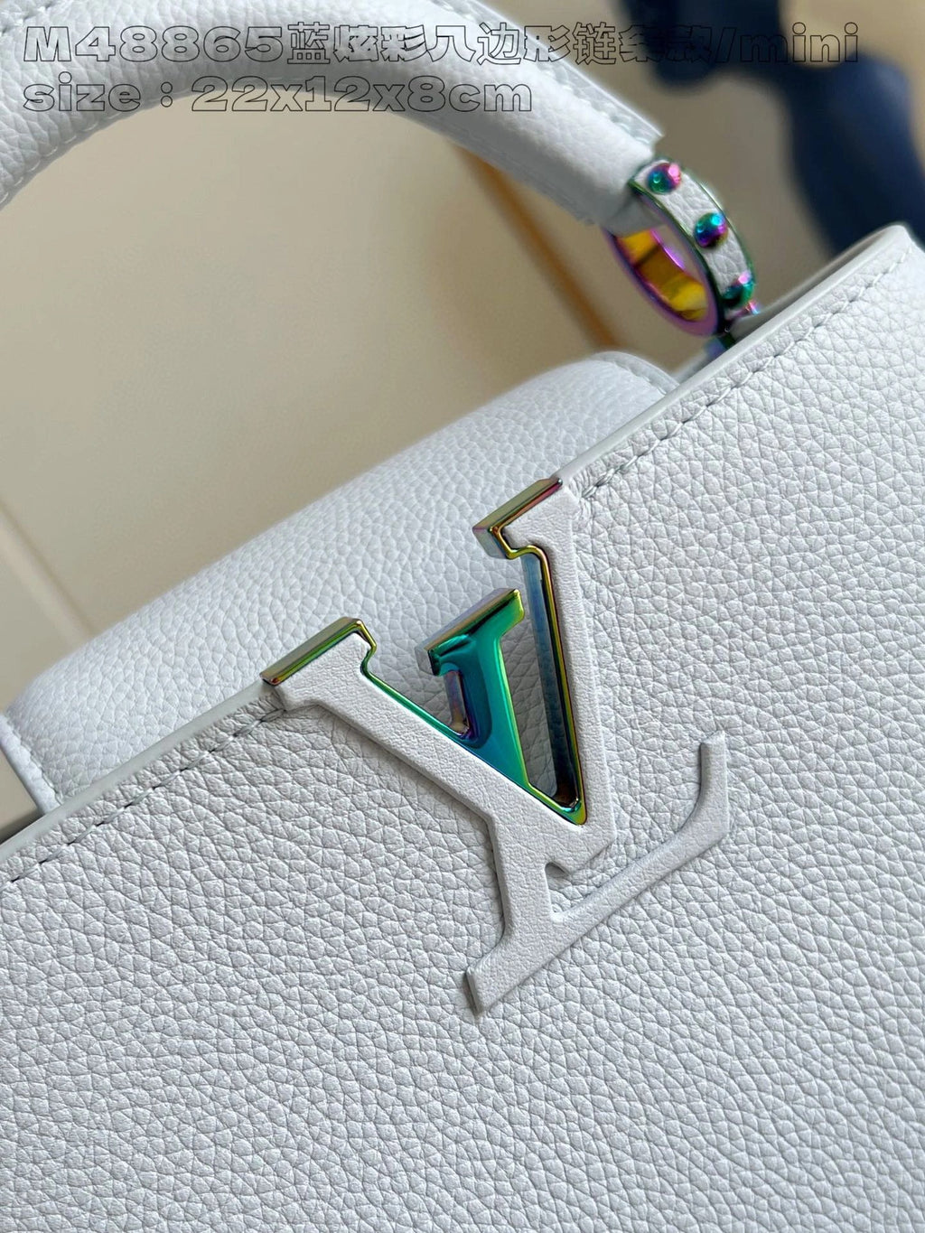 LOUIS VUITTON BAG
