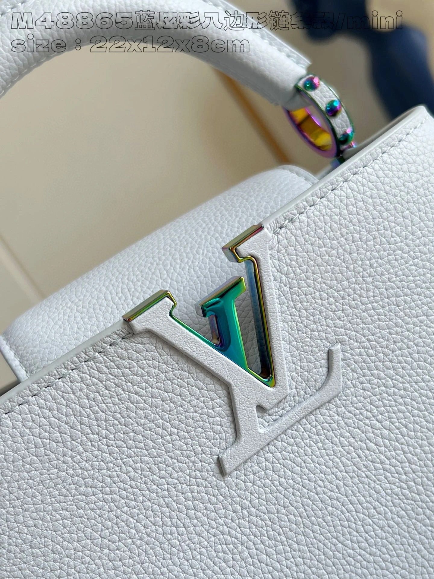 LOUIS VUITTON BAG