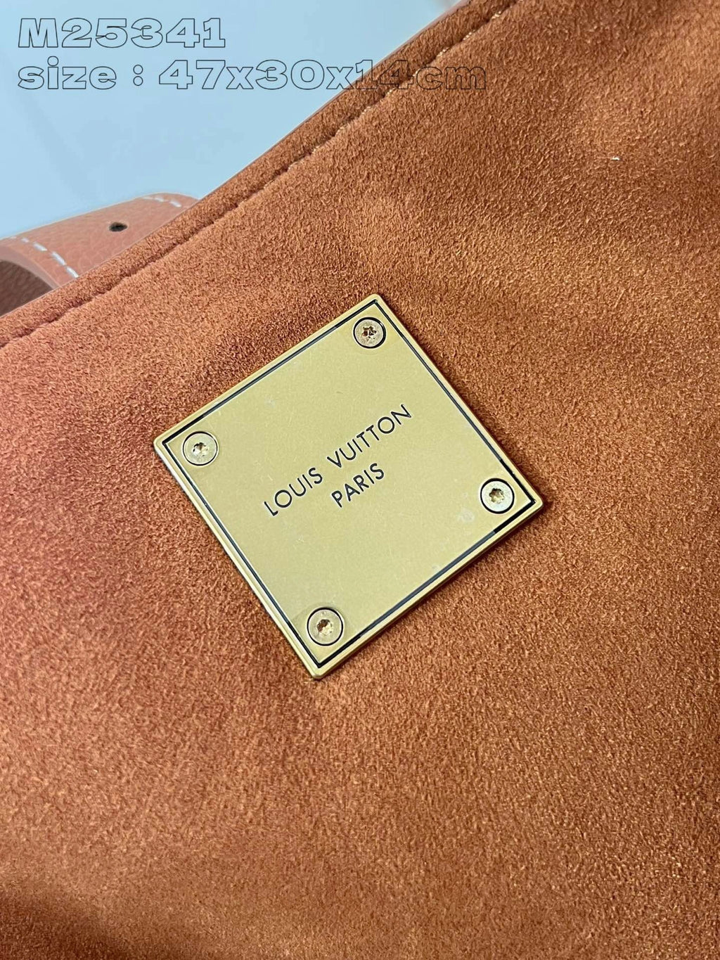 LOUIS VUITTON BAG